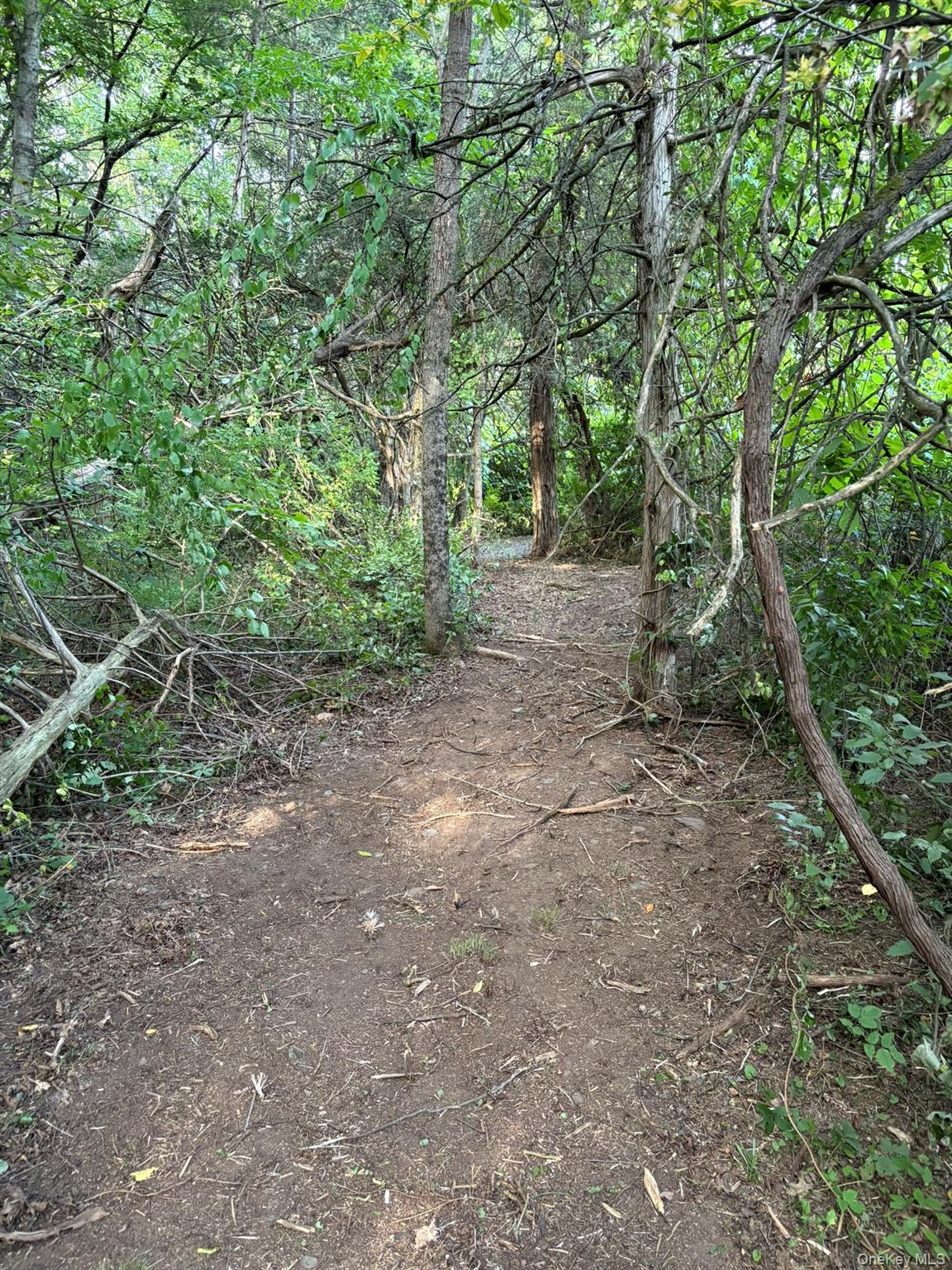 Beaver Rd (Jackson Crs), Red Hook, NY 12571