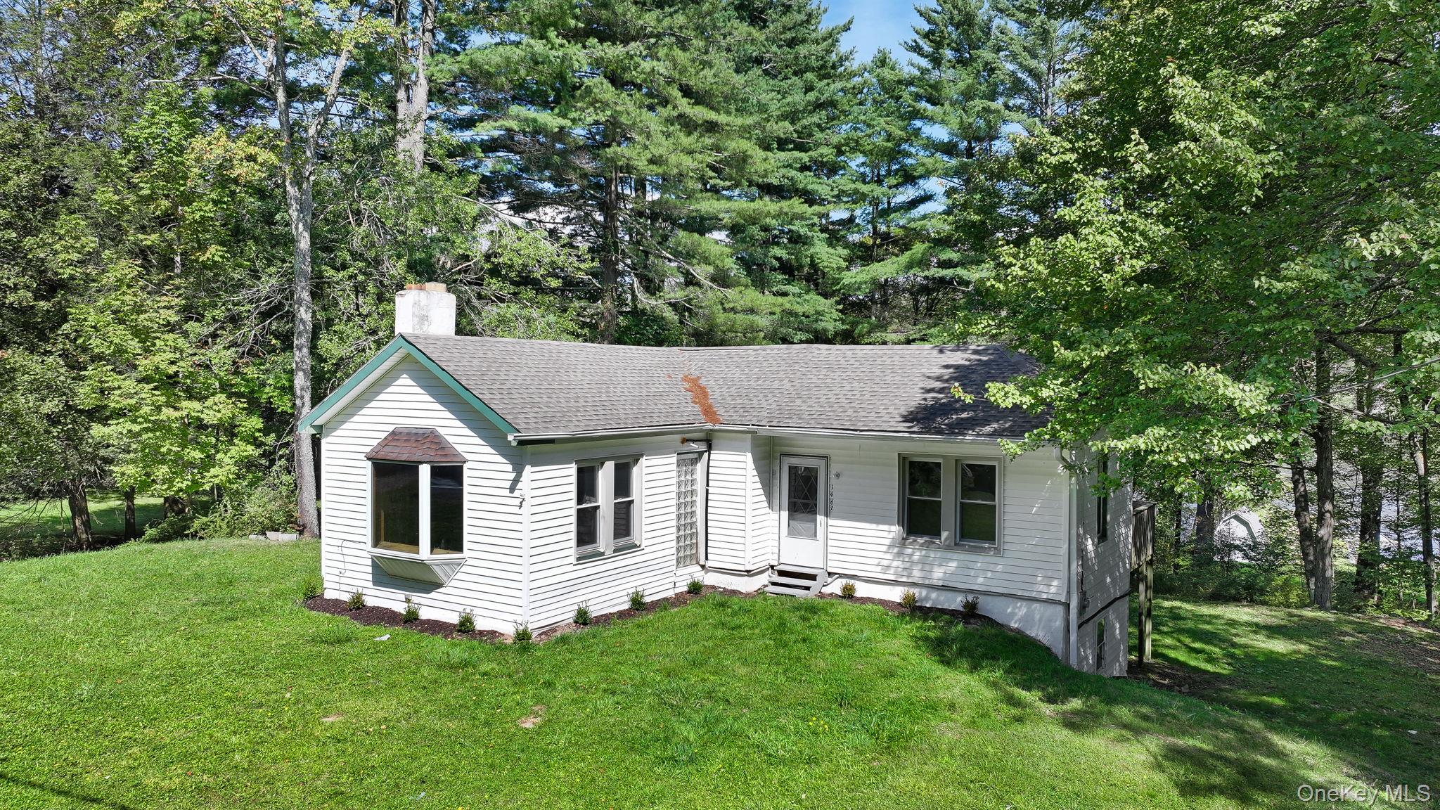 1463 Briscoe Road, Swan Lake, NY 12783