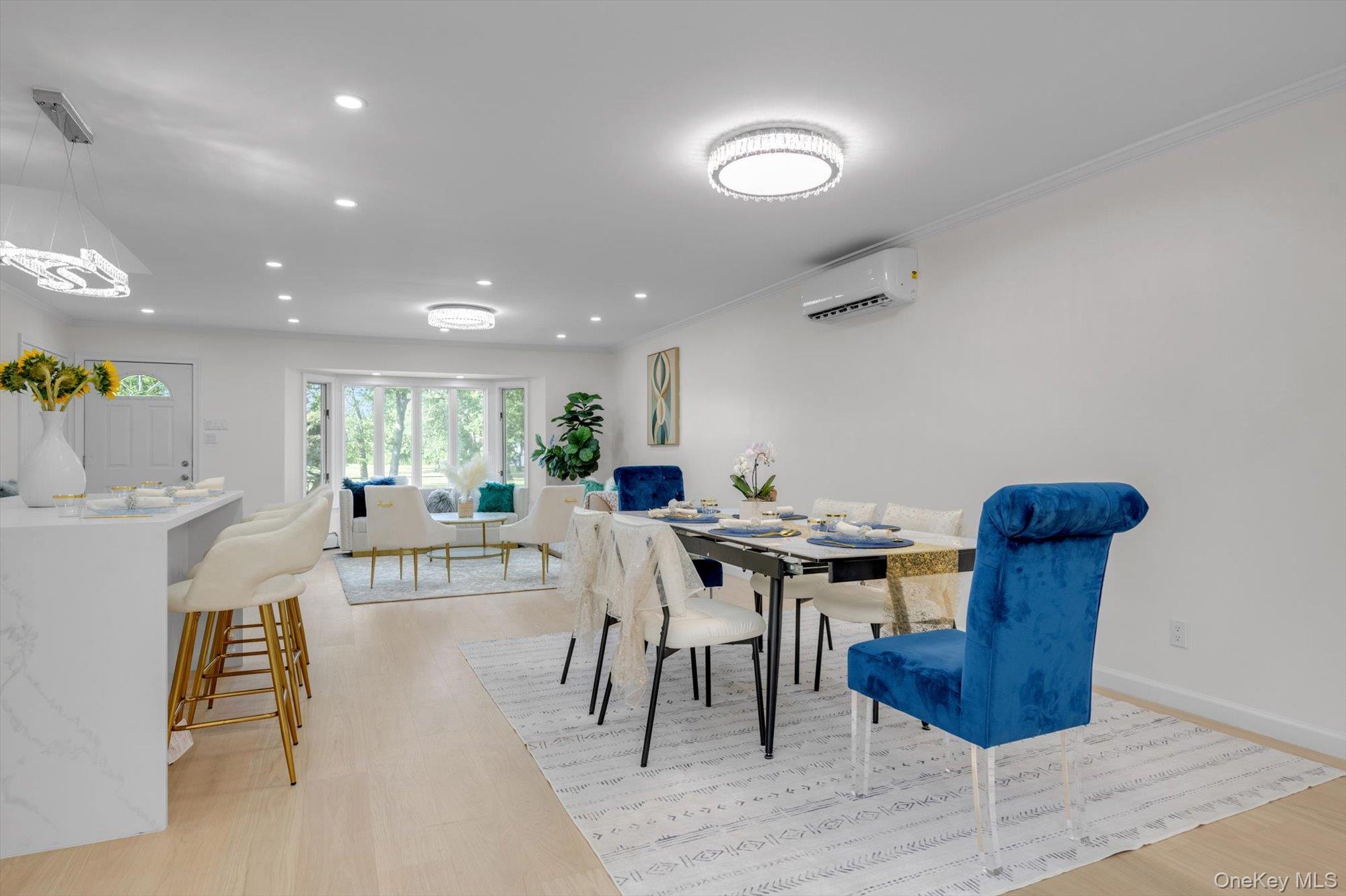 58 Briar Lane, Jericho, NY 11753