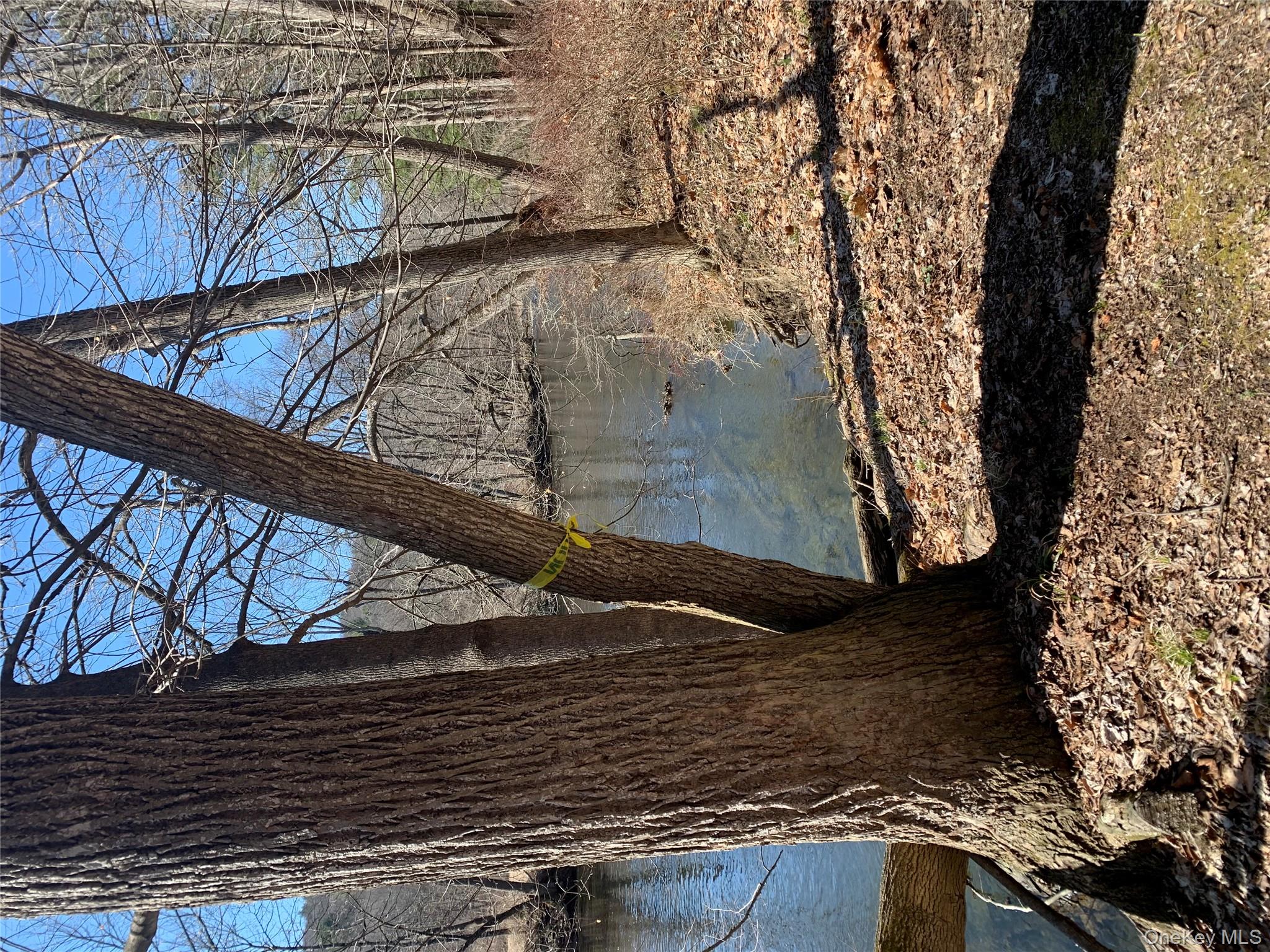 Jackson Corners, Red Hook, NY 12571