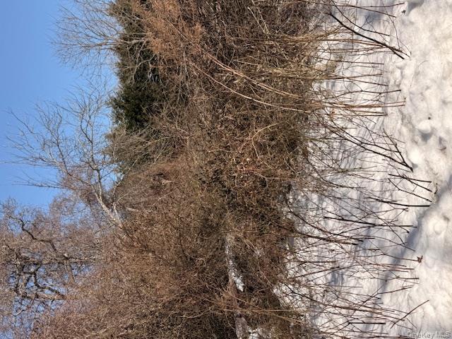 Woodland, Mastic Beach, NY 11967