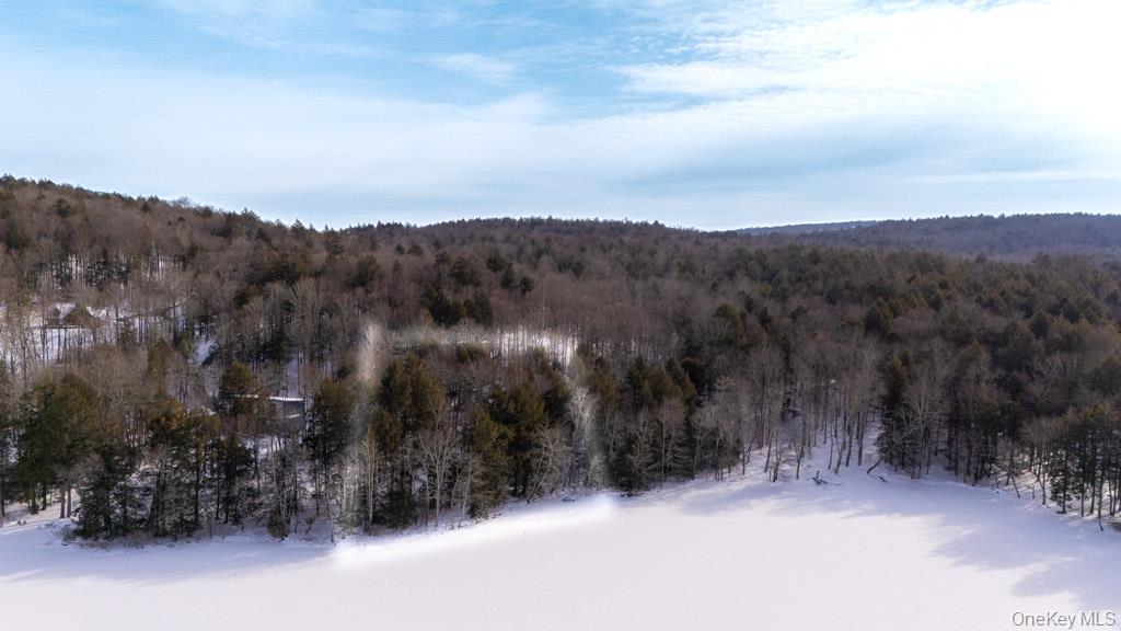 Kenoza Trail, Callicoon, NY 12723