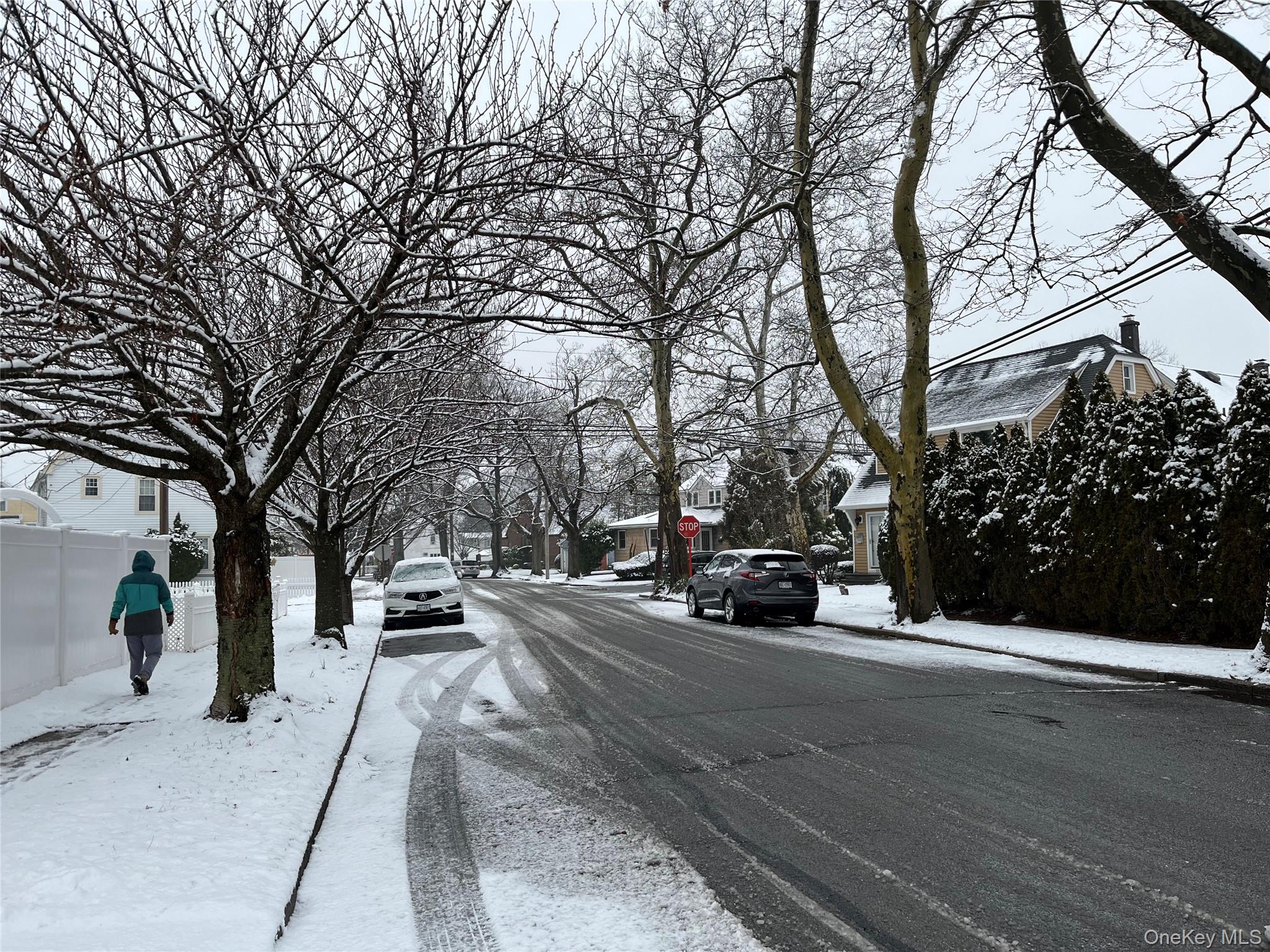 52 Park Avenue, Williston Park, NY 11596