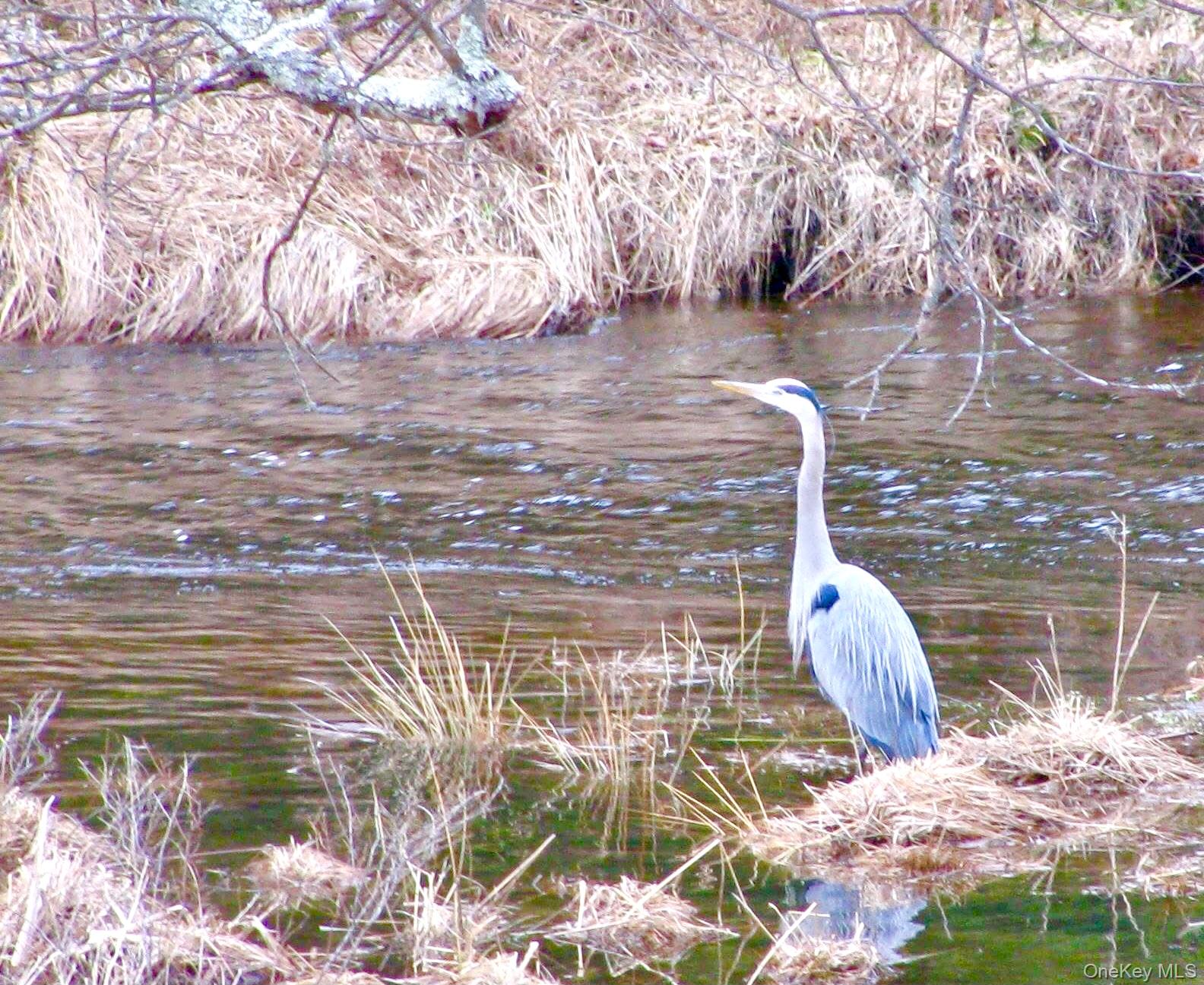 26 Valley Road, Forestburgh, NY 12777