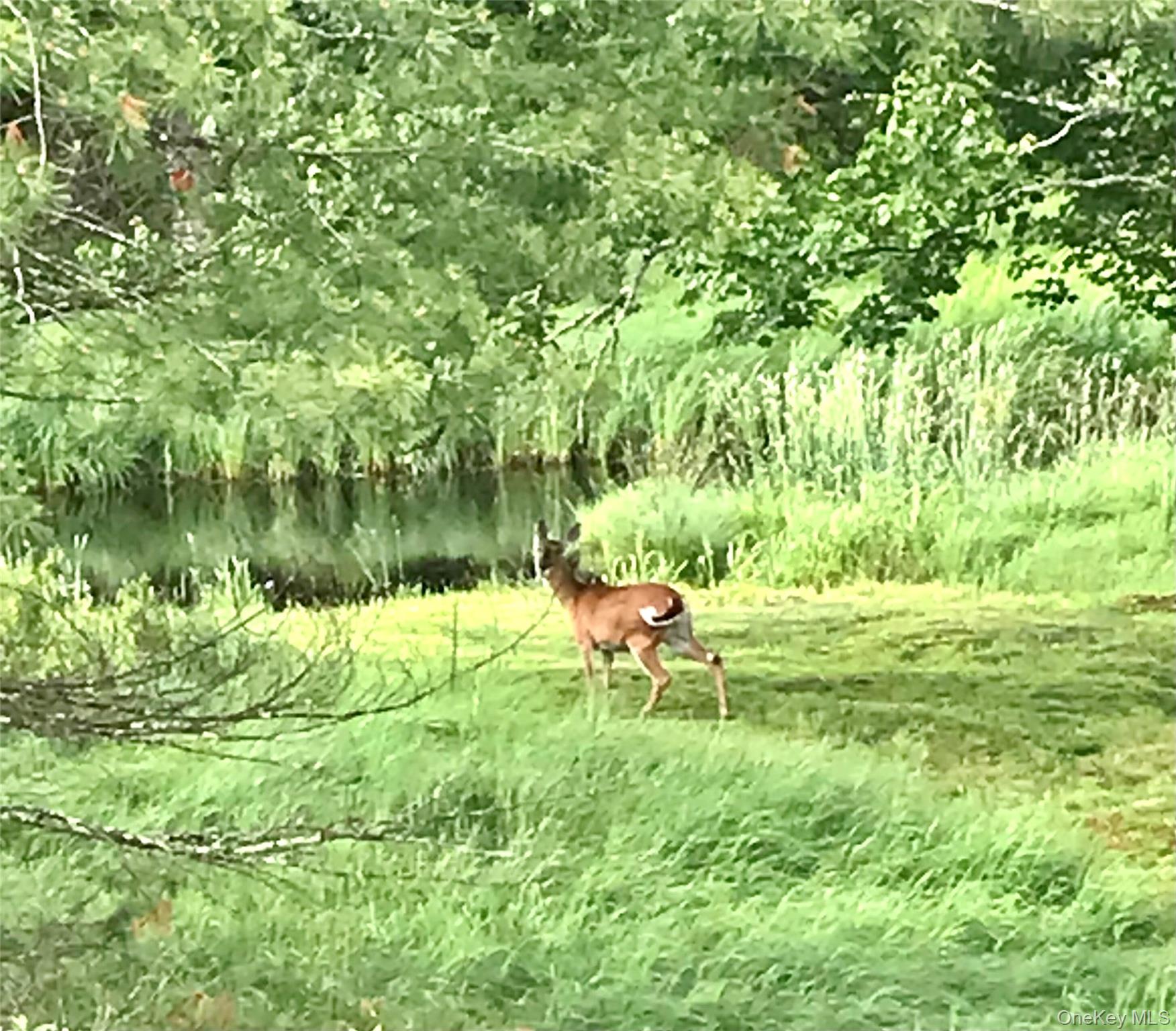 26 Valley Road, Forestburgh, NY 12777