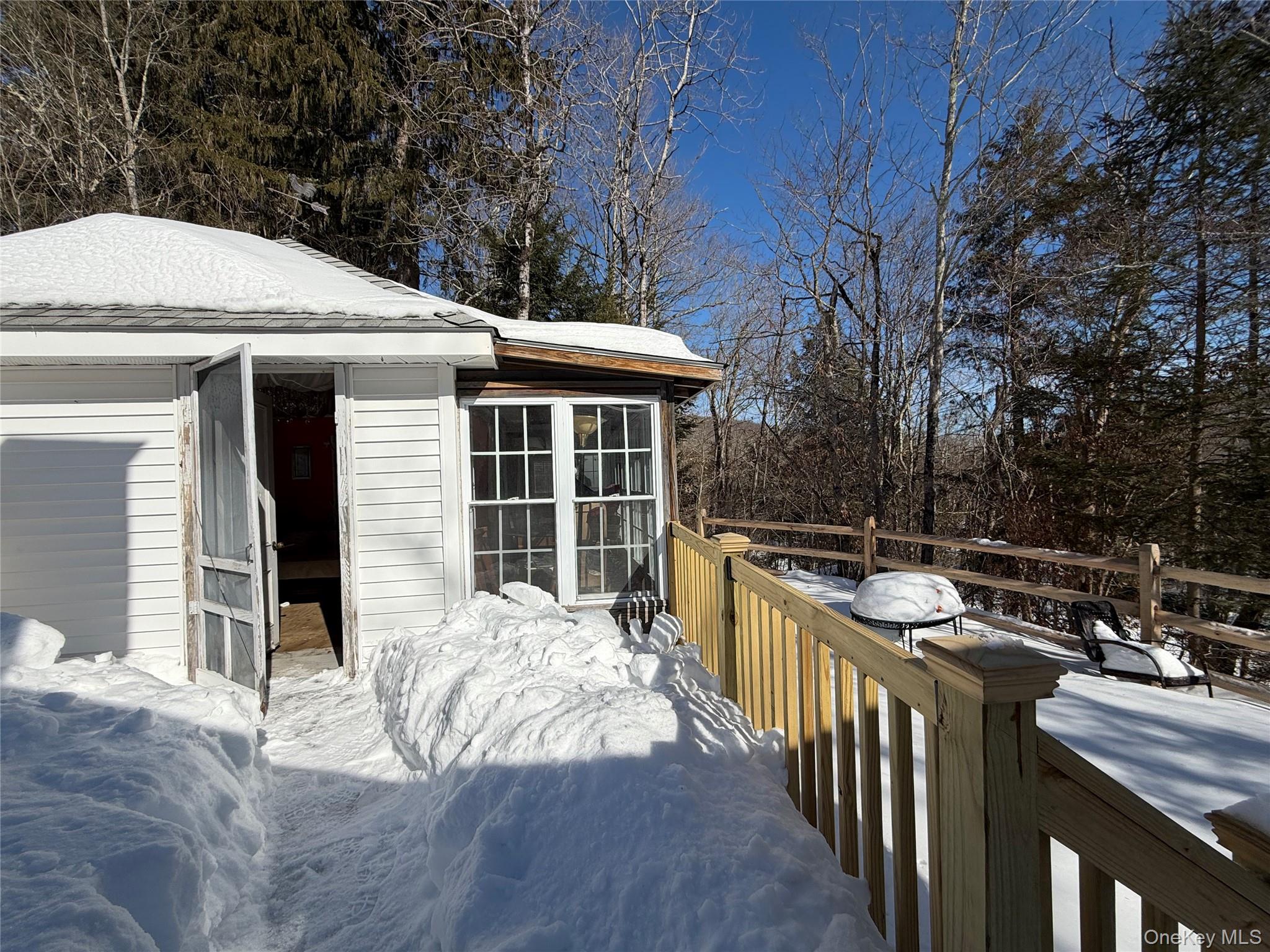 674 Debruce Road, Livingston Manor, NY 12758