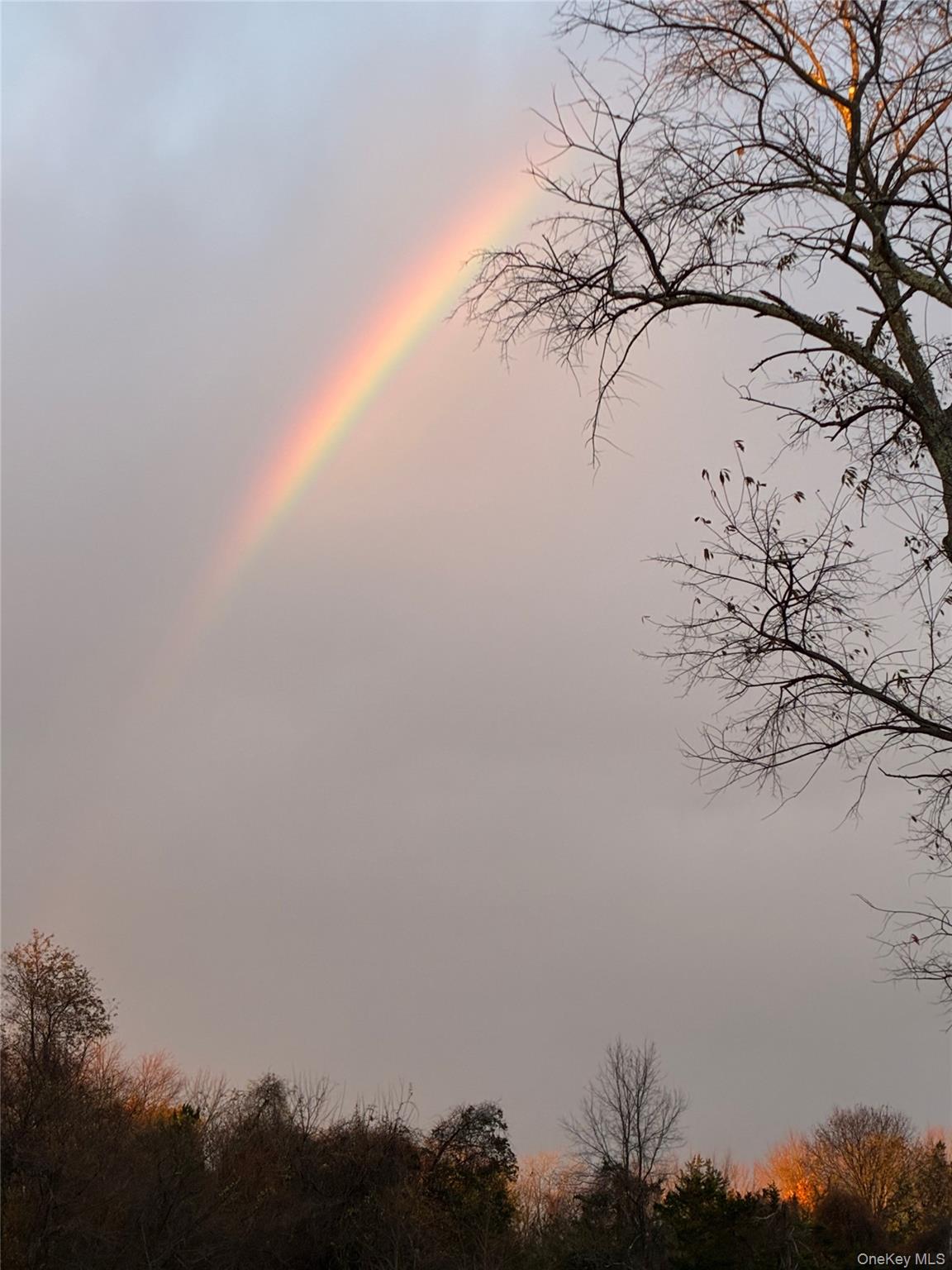 14 Harrigan Road, Hopewell Junction, NY 12533