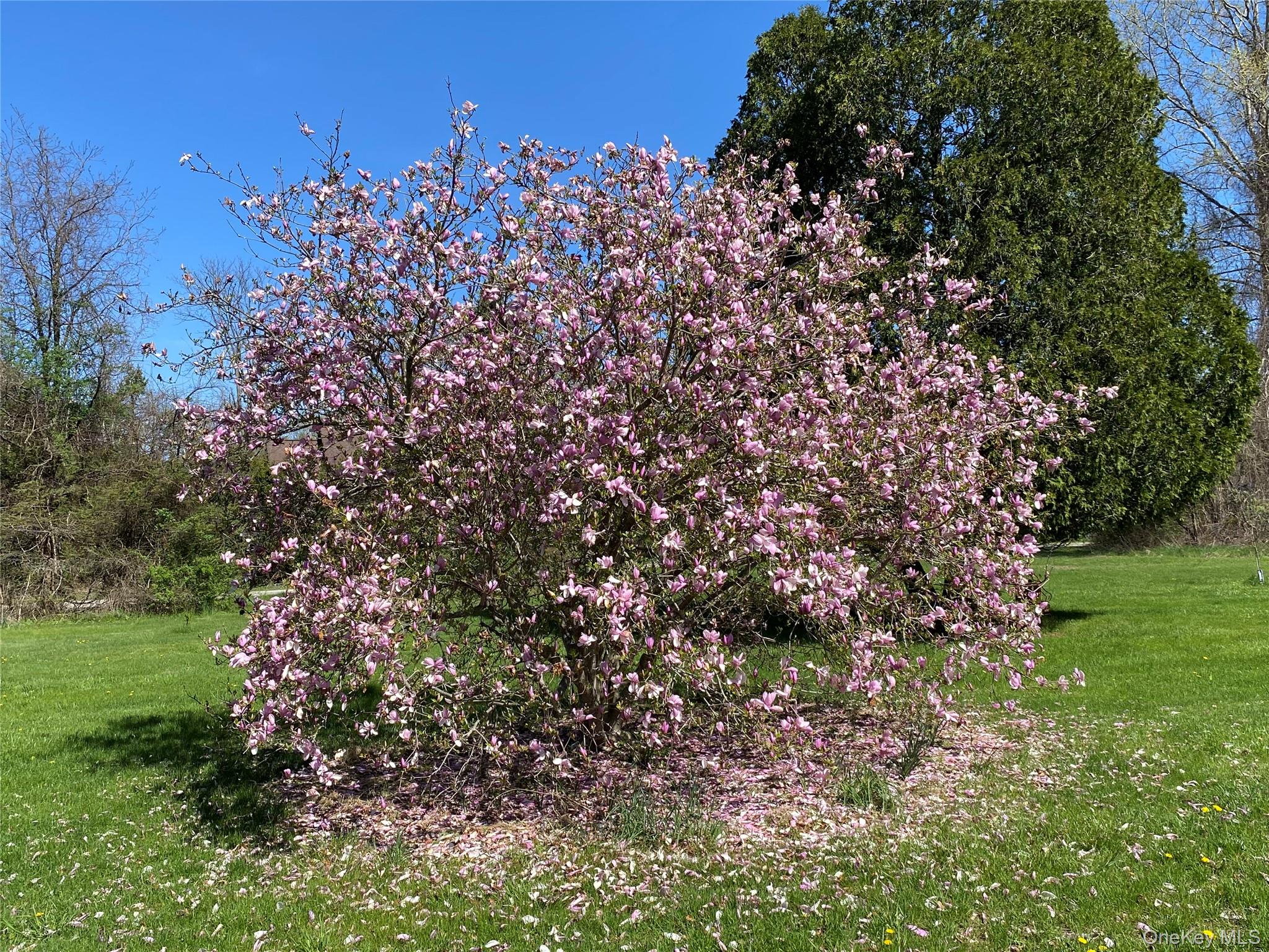 14 Harrigan Road, Hopewell Junction, NY 12533