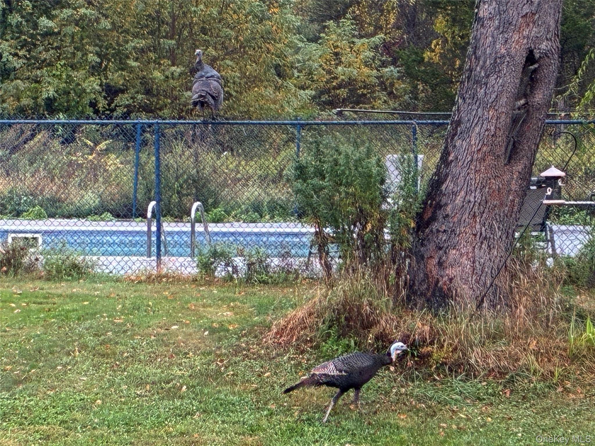 14 Harrigan Road, Hopewell Junction, NY 12533