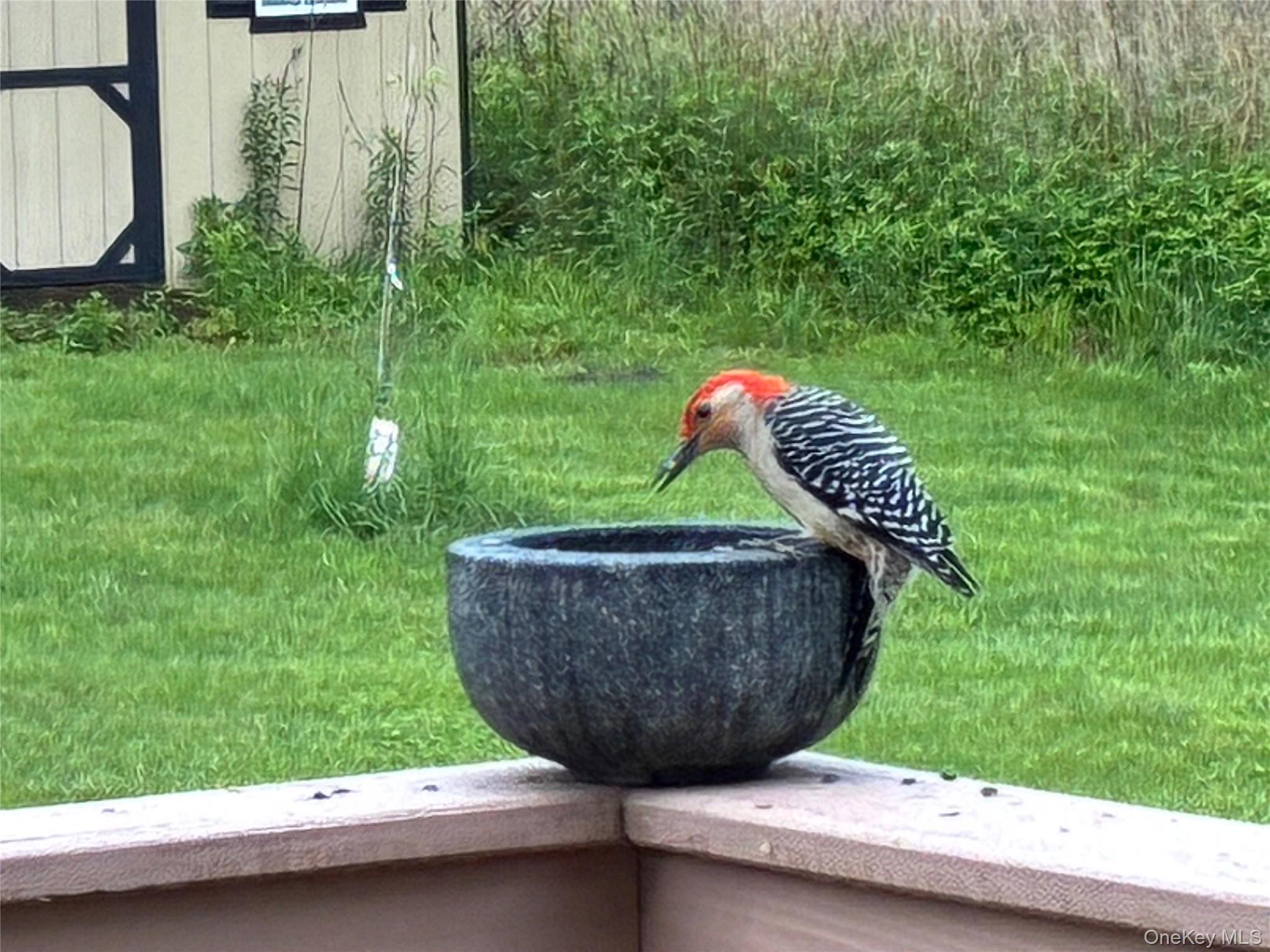 14 Harrigan Road, Hopewell Junction, NY 12533