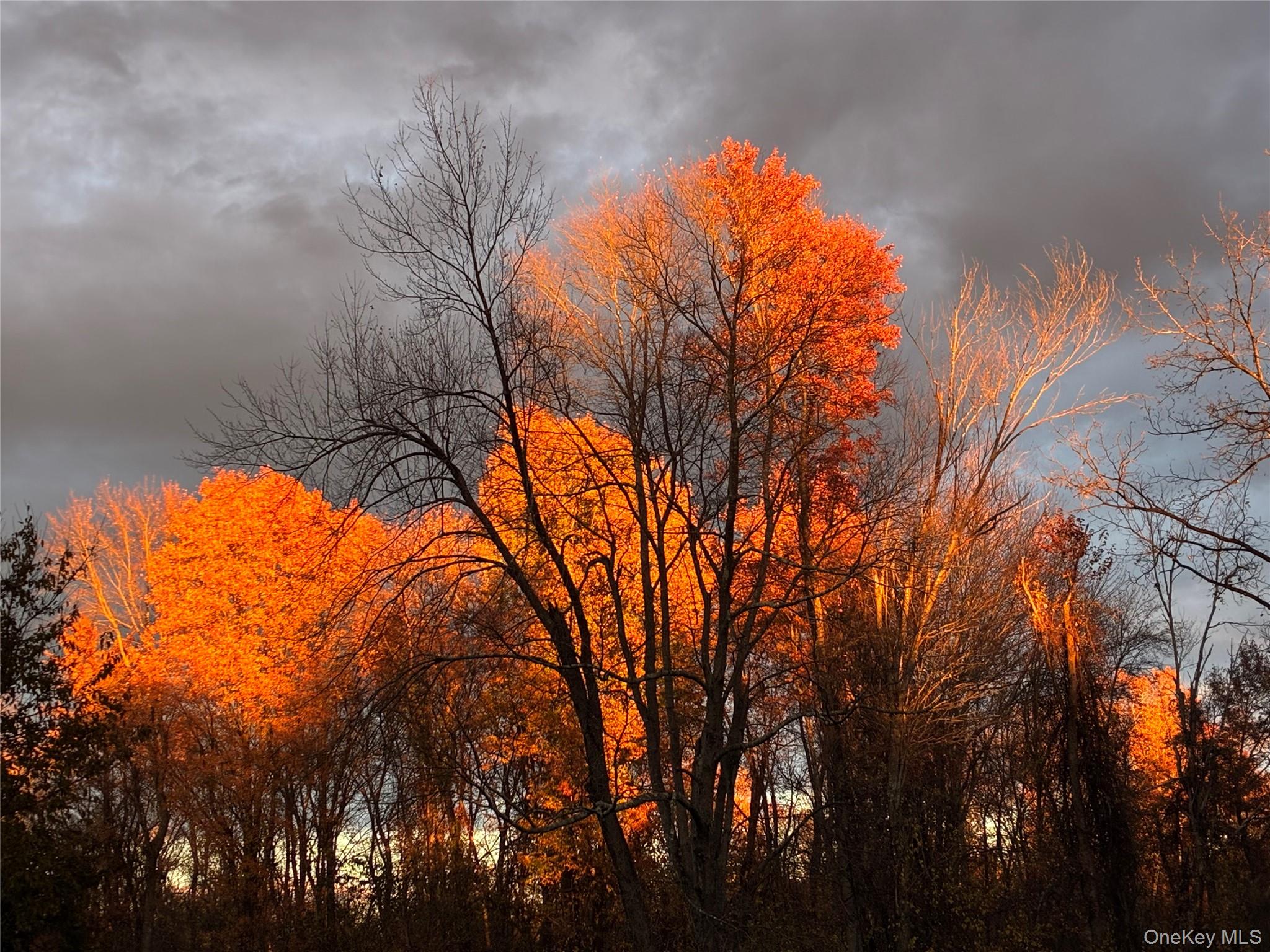 14 Harrigan Road, Hopewell Junction, NY 12533