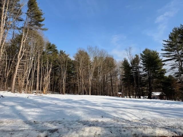 Lot 48.3 & 48.2 High Road, Glen Spey, NY 12737