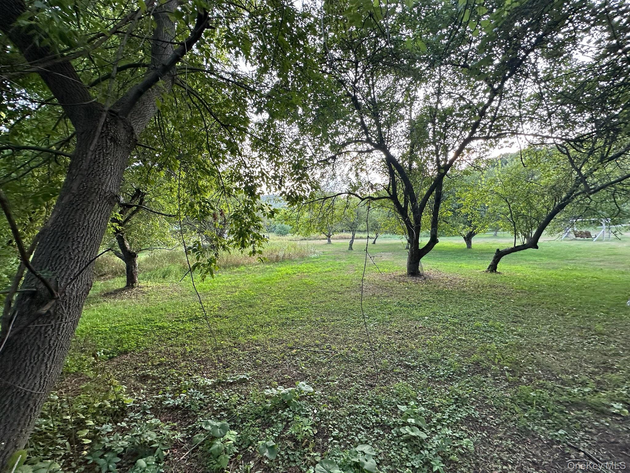 49 Veterans Road, Call Listing Agent, NY 12883