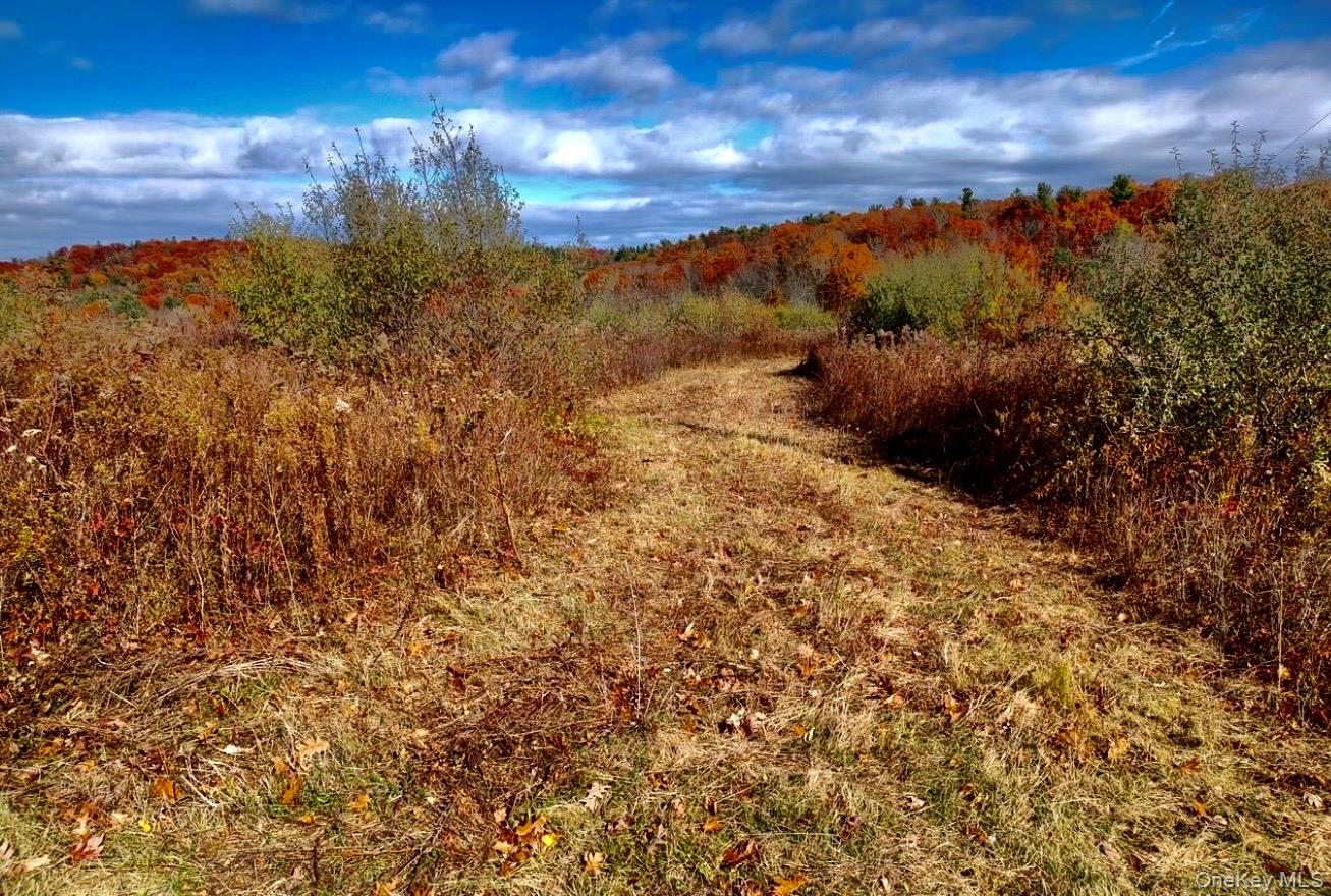 Manor Rock Road, Craryville, NY 12521