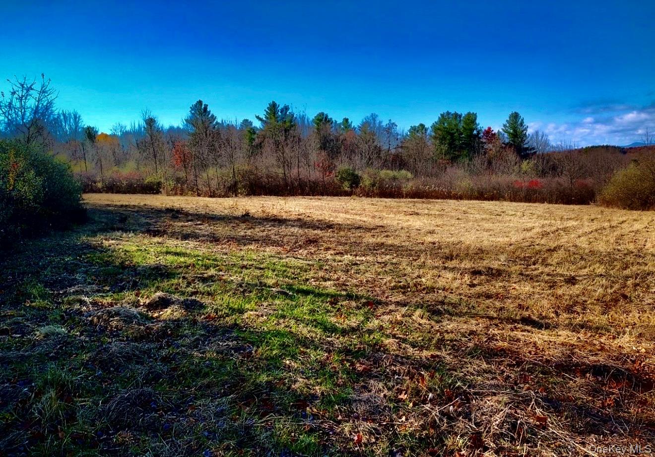 Manor Rock Road, Craryville, NY 12521