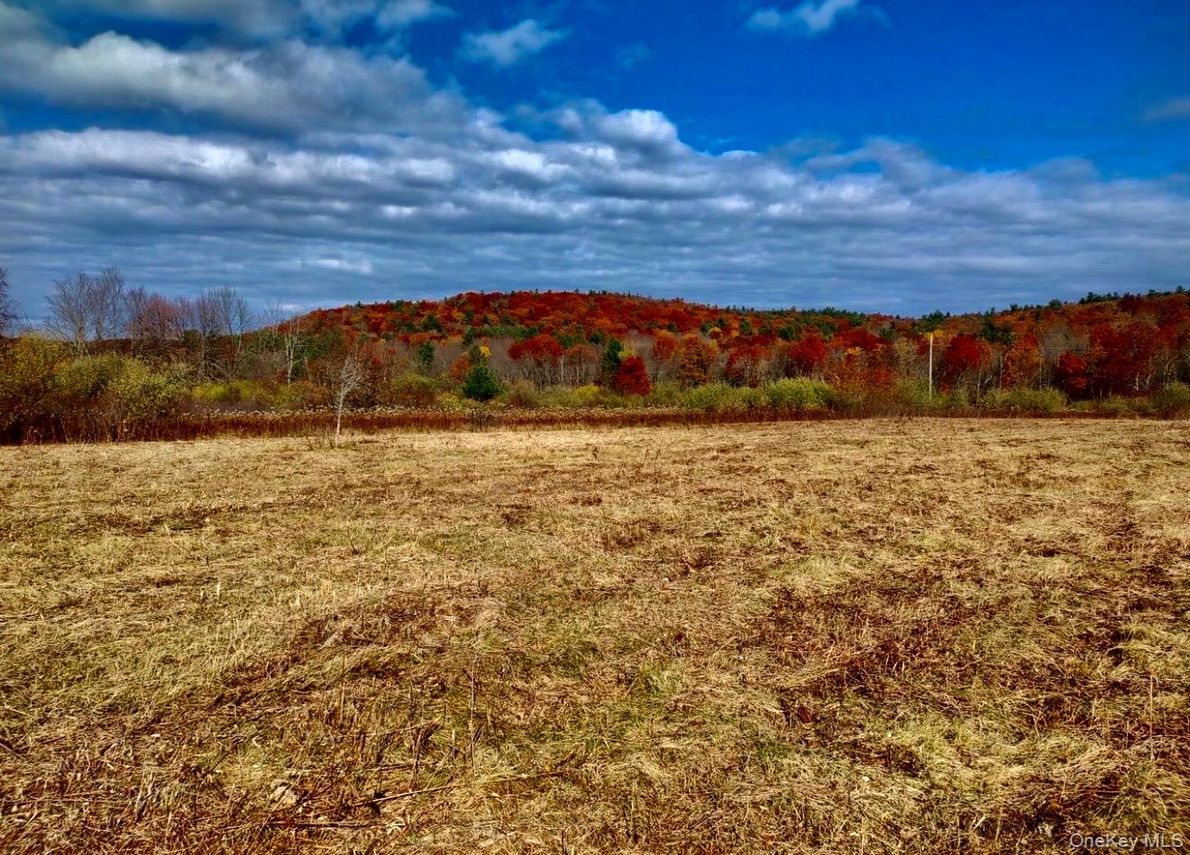 Manor Rock Road, Craryville, NY 12521