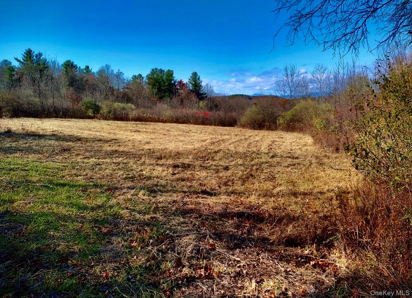 Manor Rock Road, Craryville, NY 12521