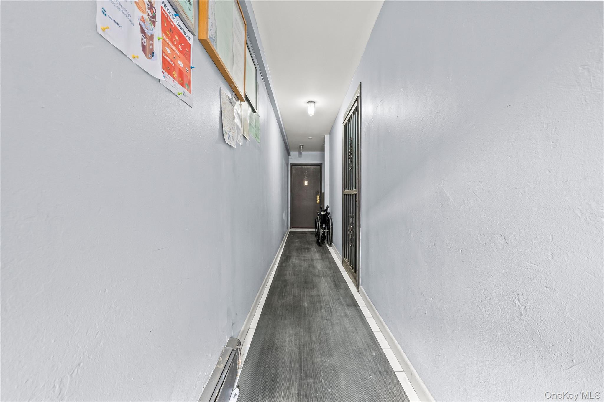 5609 van cleef, Corona, NY 11368