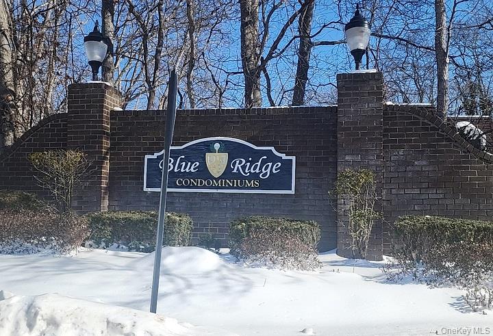 36 Blue Ridge Drive, Medford, NY 11763