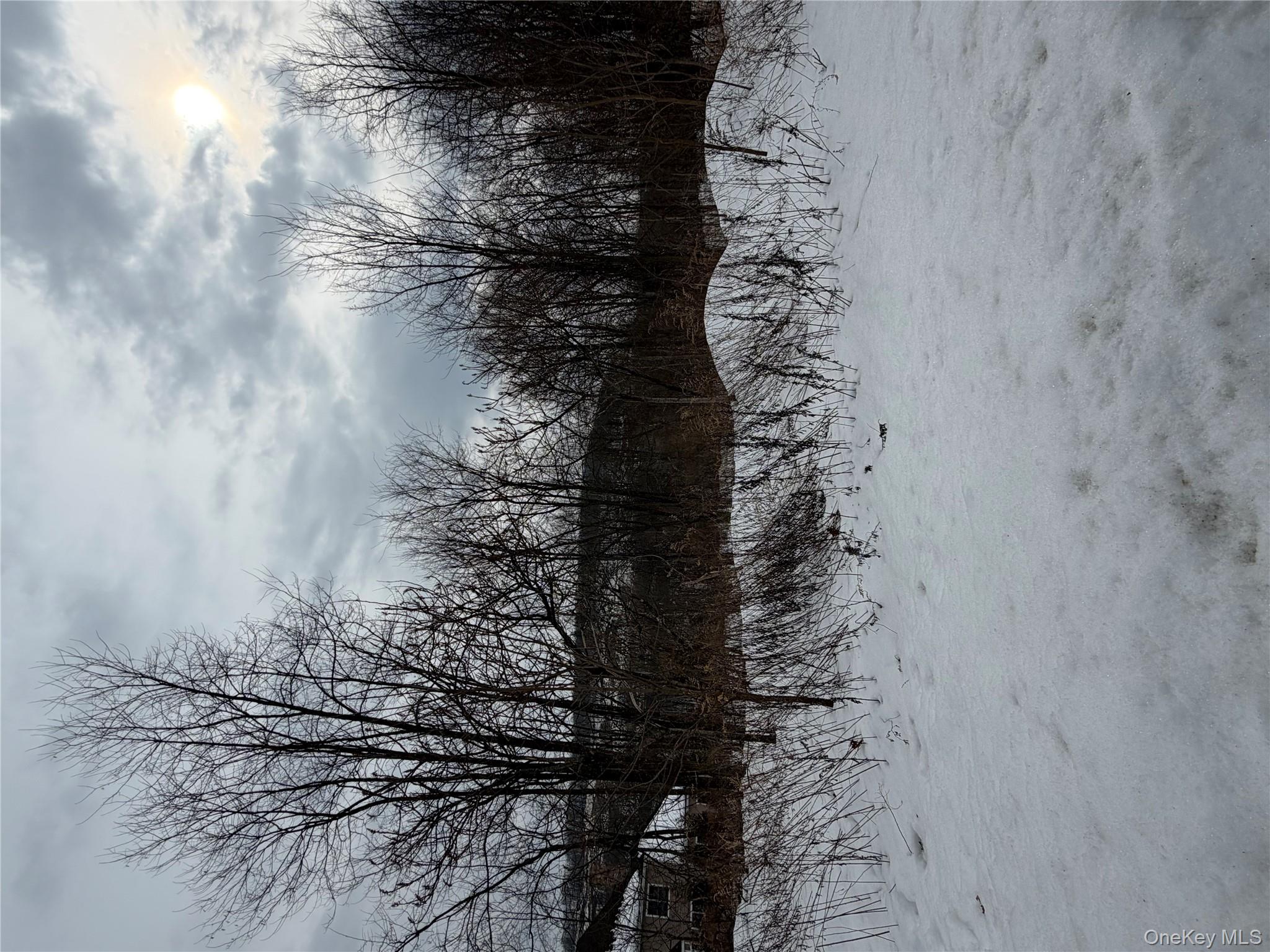 96 Juniper Terrace, Tuxedo Park, NY 10987