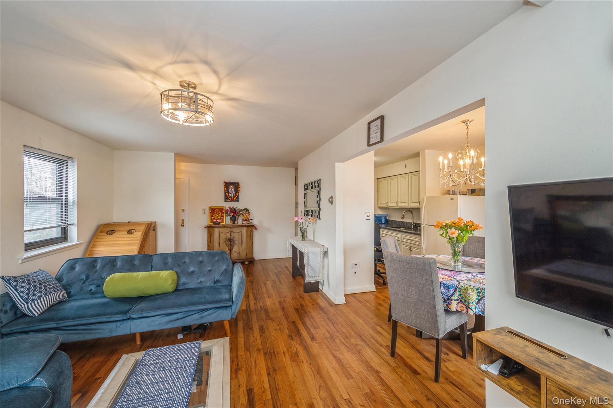 216 Fulton Street # 1B, Farmingdale, NY 11735