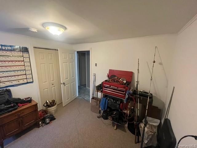 178 Adirondack Drive, Selden, NY 11784