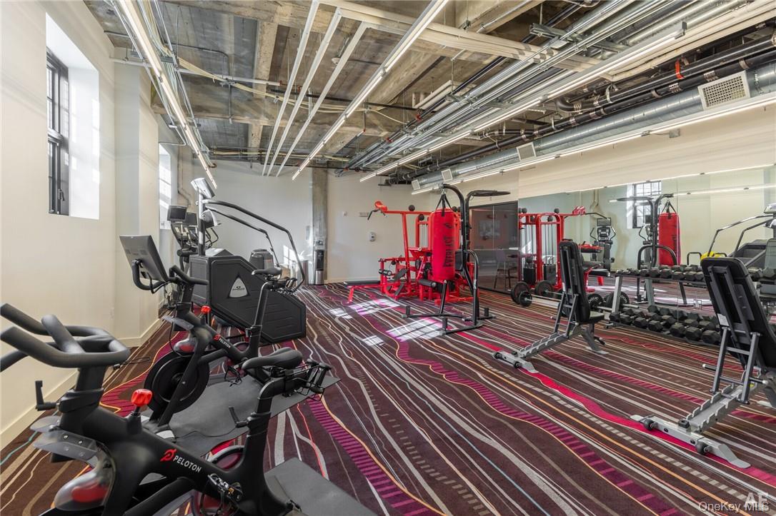 121 Westmoreland Avenue # 410, White Plains, NY 10606