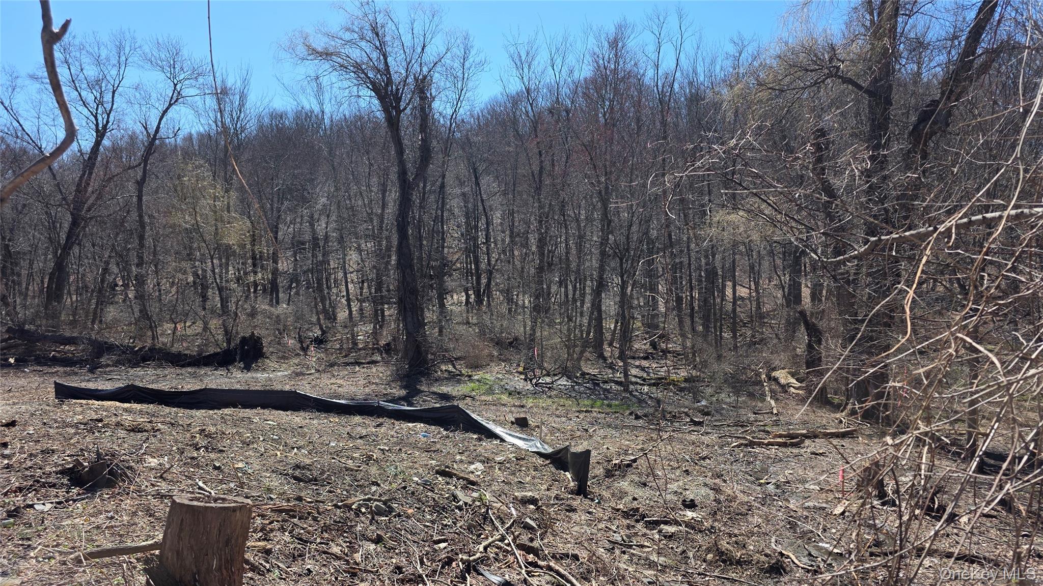 91 Barrett Hill Road, Carmel, NY 10512