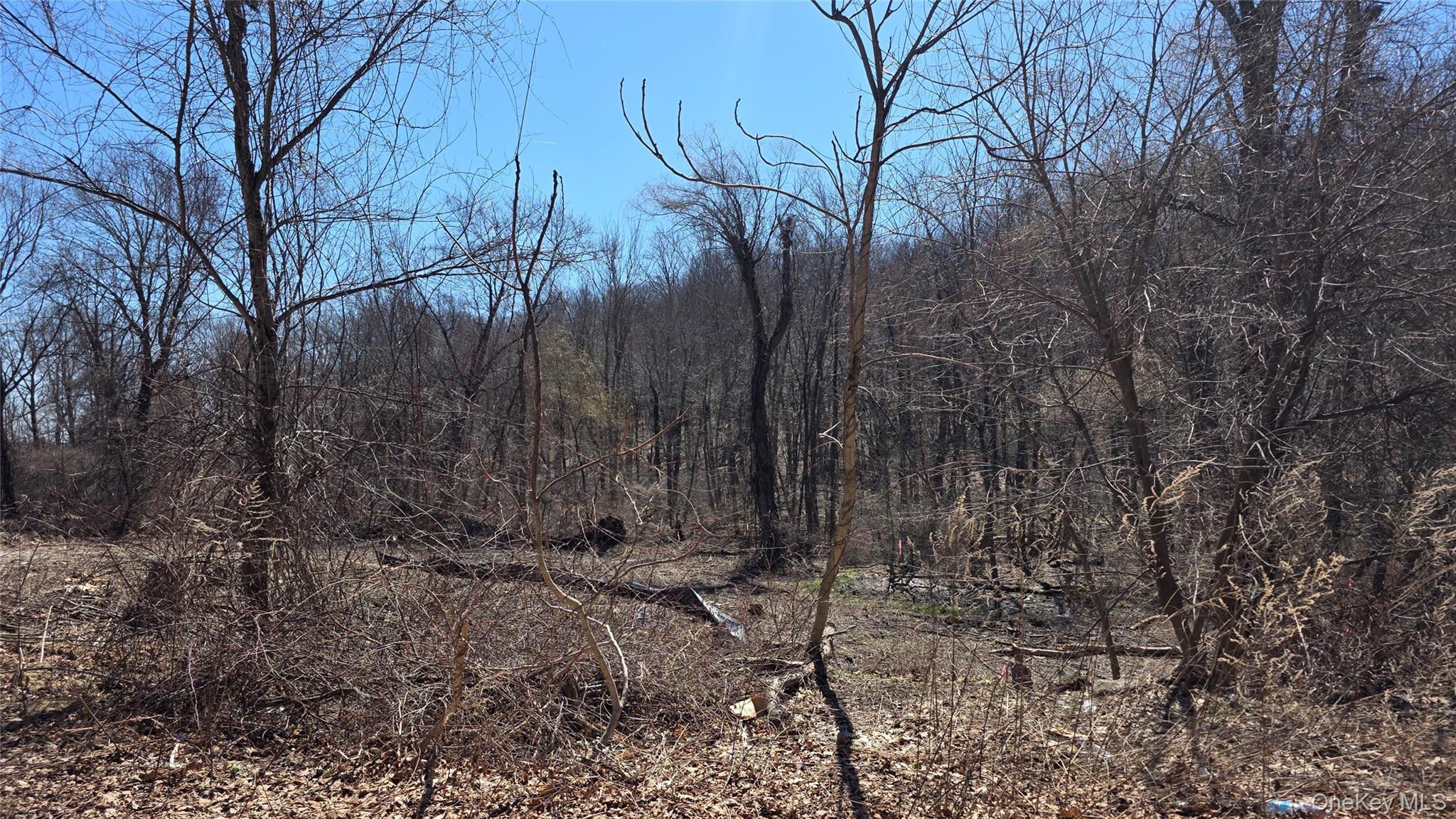 91 Barrett Hill Road, Carmel, NY 10512