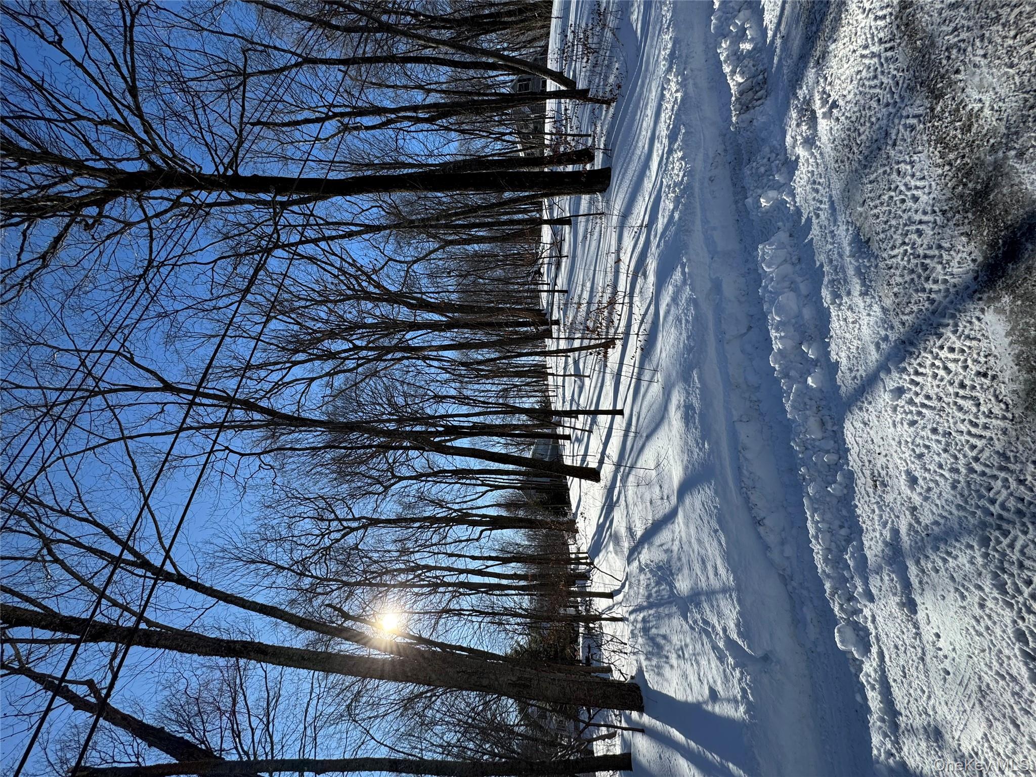 Lakeview Drive, Pawling, NY 12564