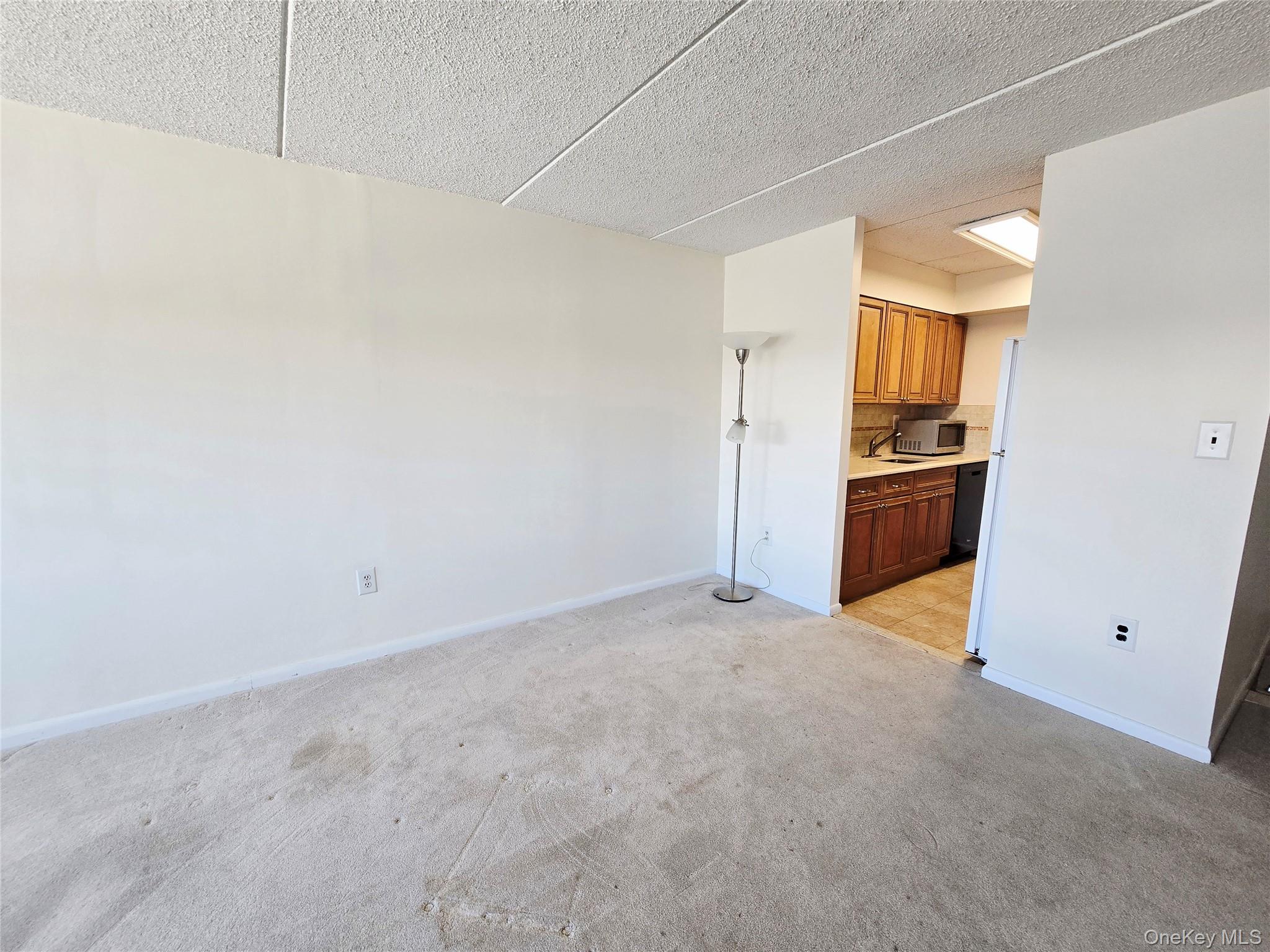 142 Main Street # 3D, Mineola, NY 11501