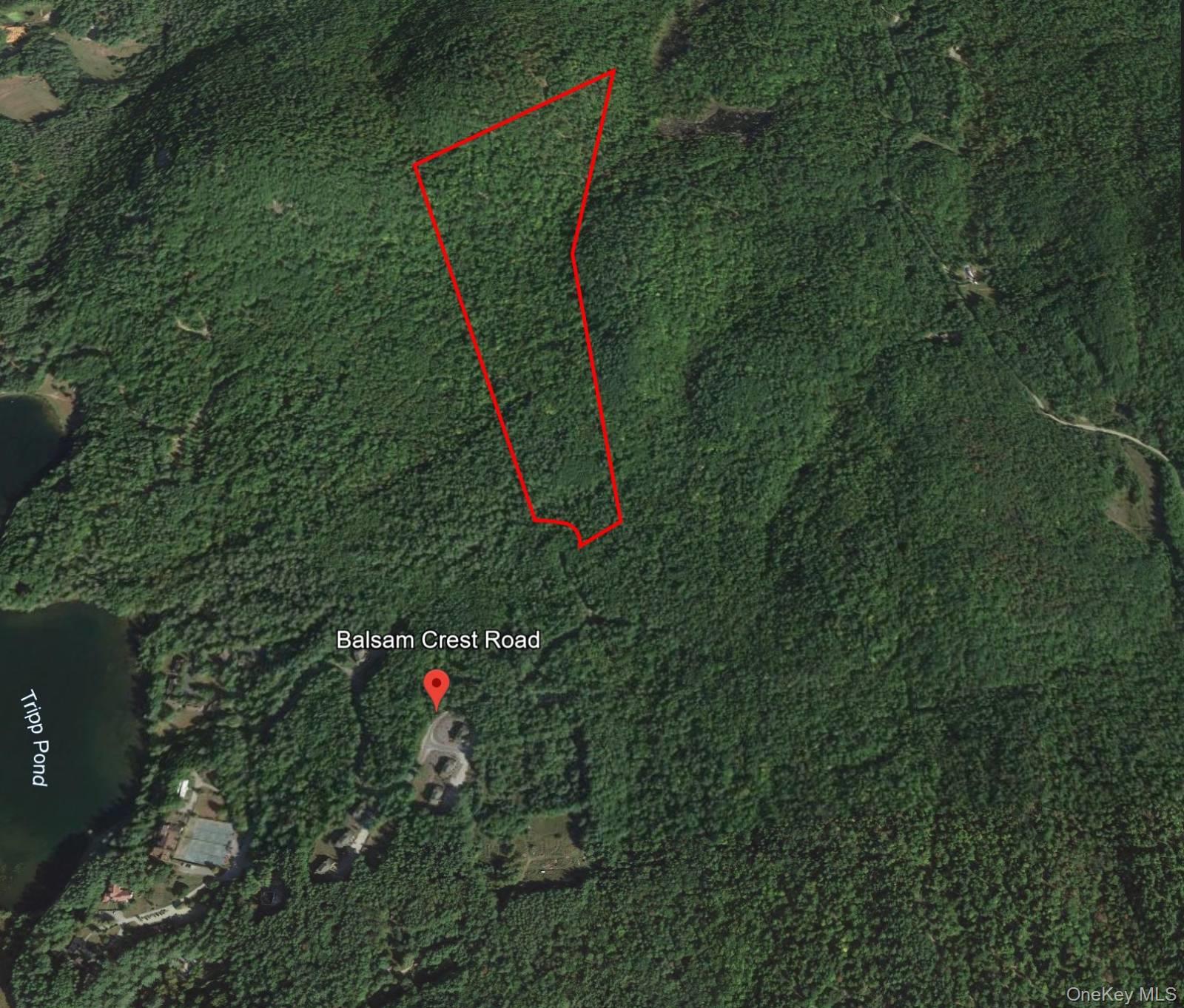 L173 Balsam Crest Road, Call Listing Agent, NY 12817