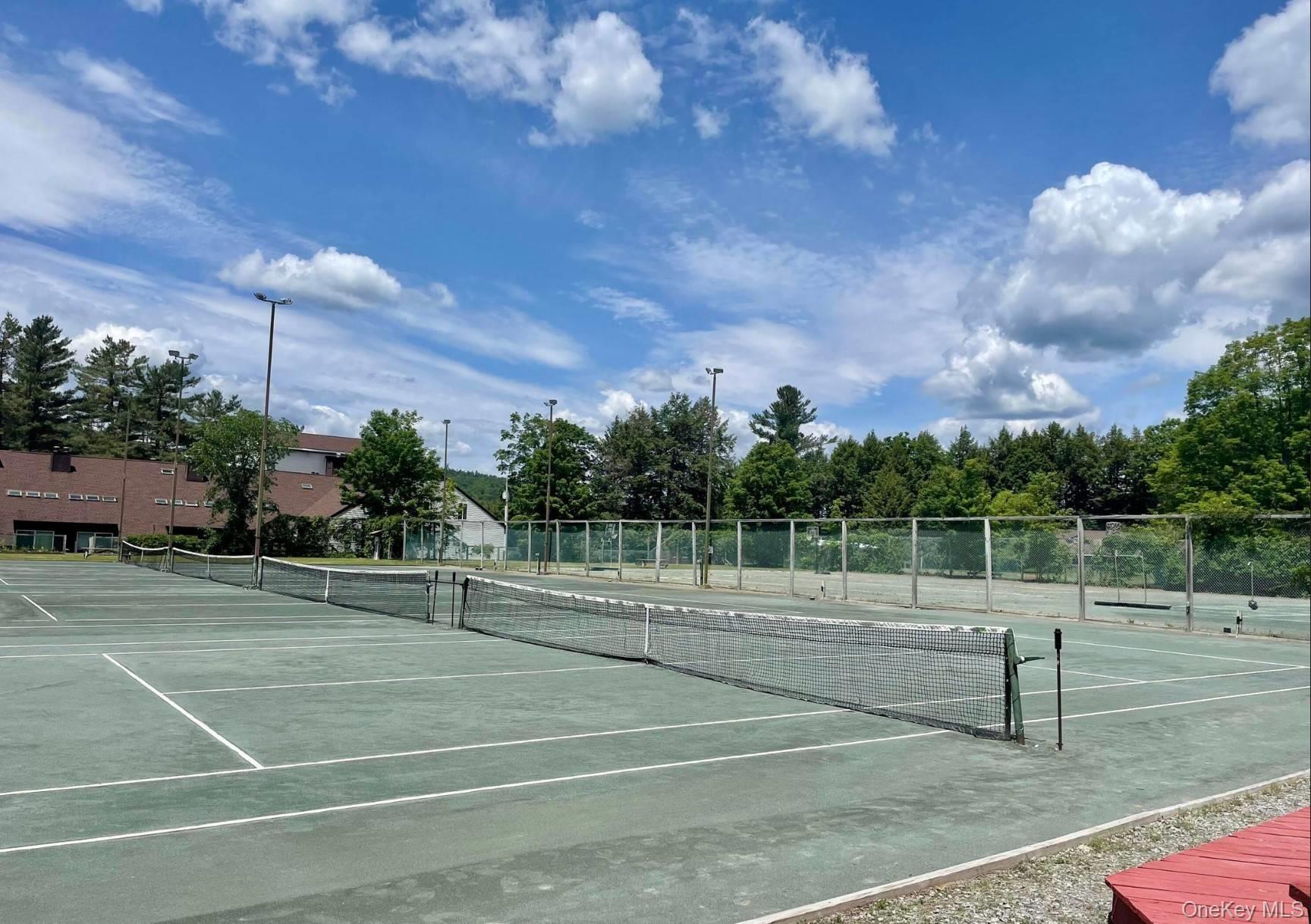 L173 Balsam Crest Road, Call Listing Agent, NY 12817