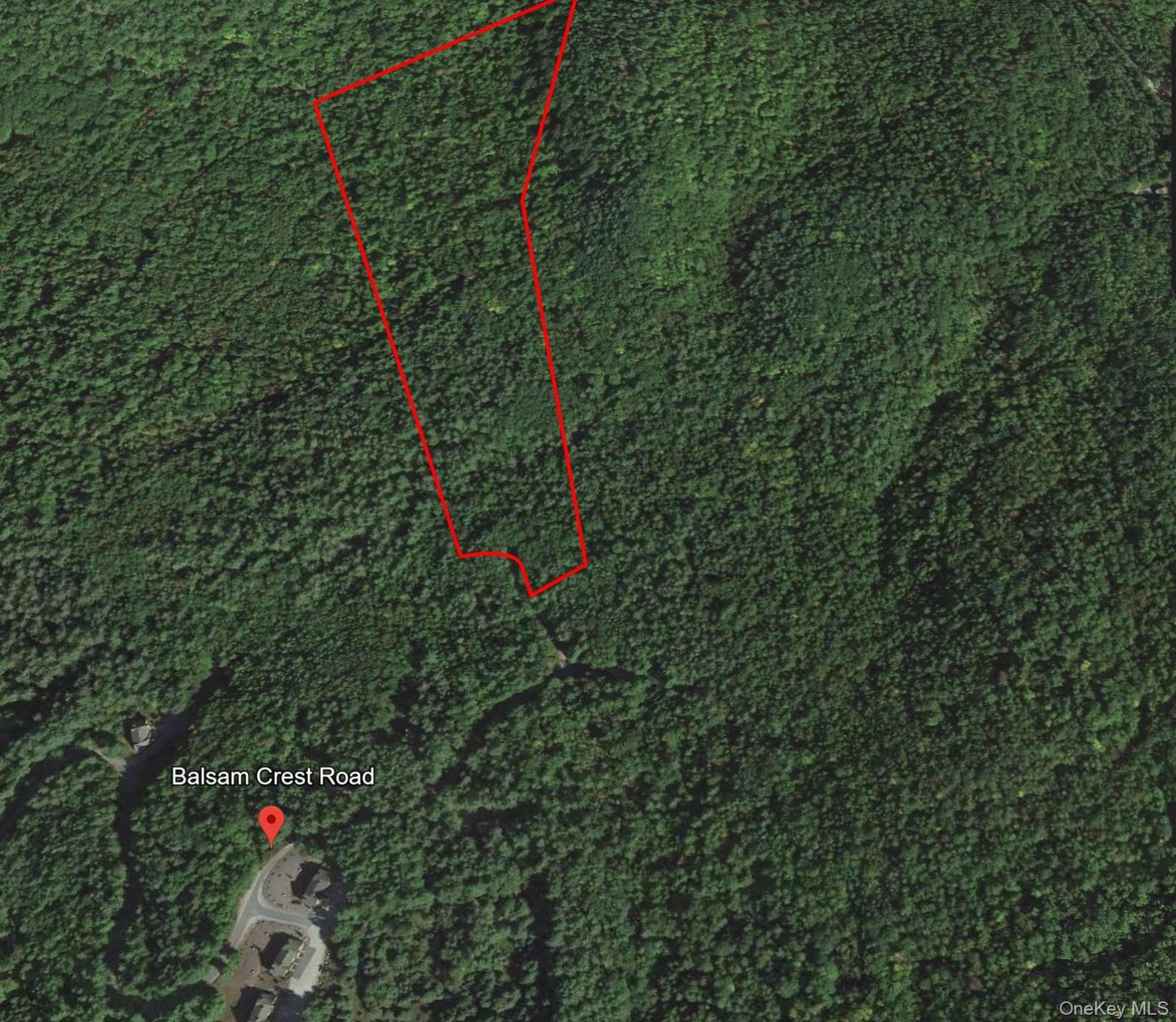 L173 Balsam Crest Road, Call Listing Agent, NY 12817