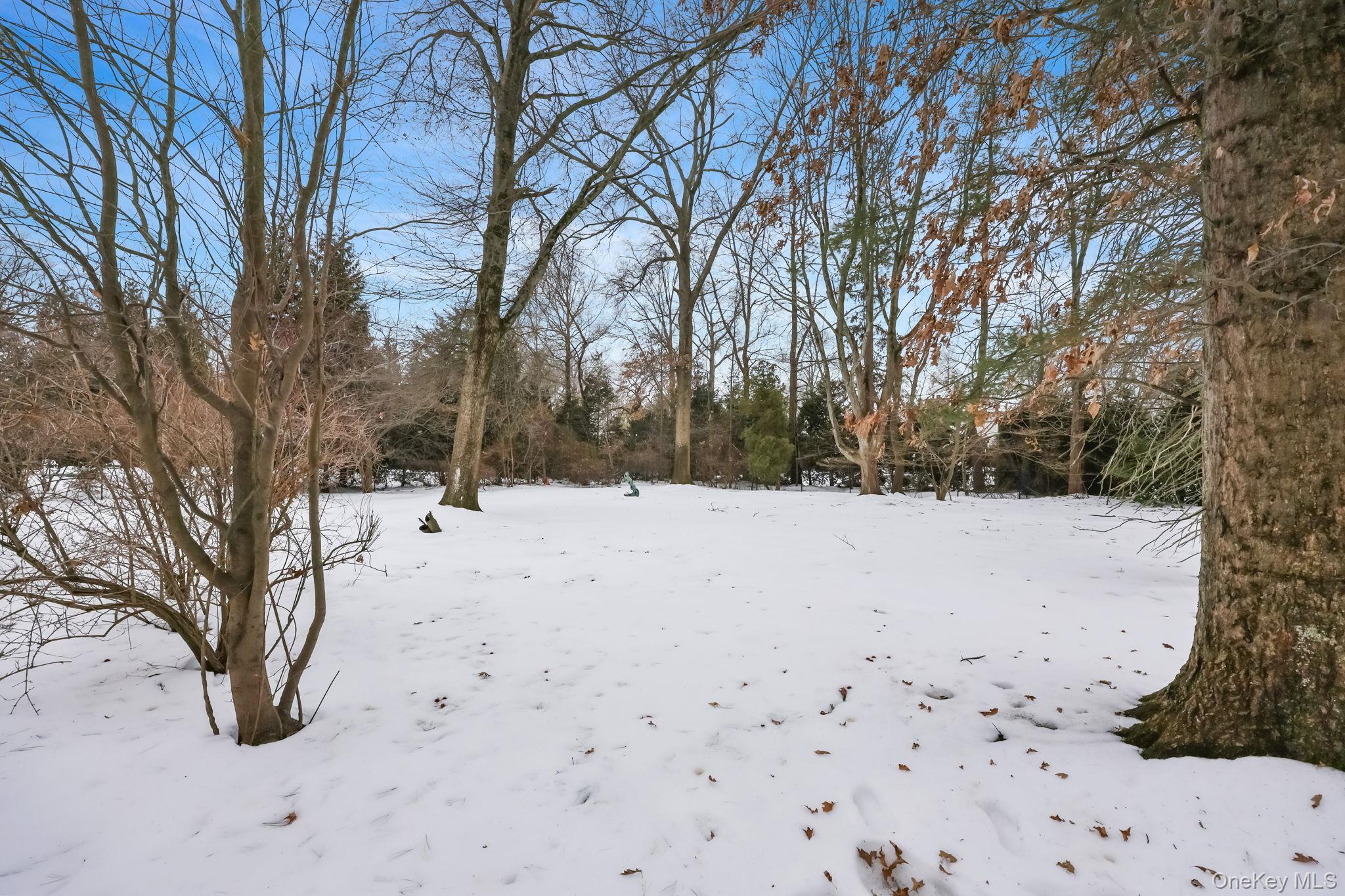 7 Mayflower Road, Scarsdale, NY 10583