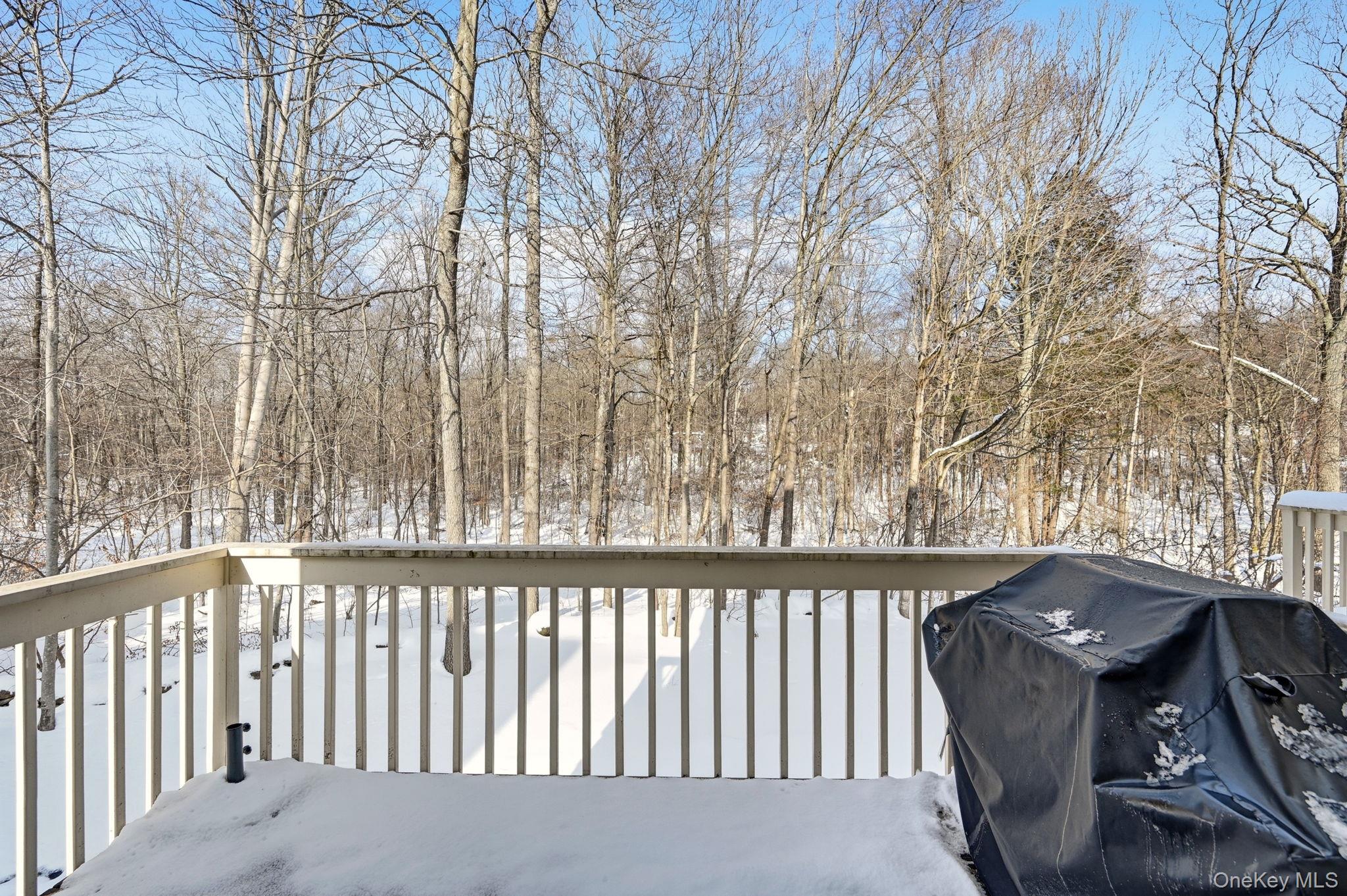 4401 Hickory Hollow Lane, Carmel, NY 10512