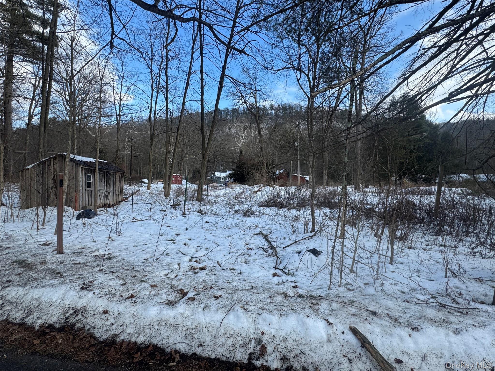 6-8 Grove Street, Godeffroy, NY 12729