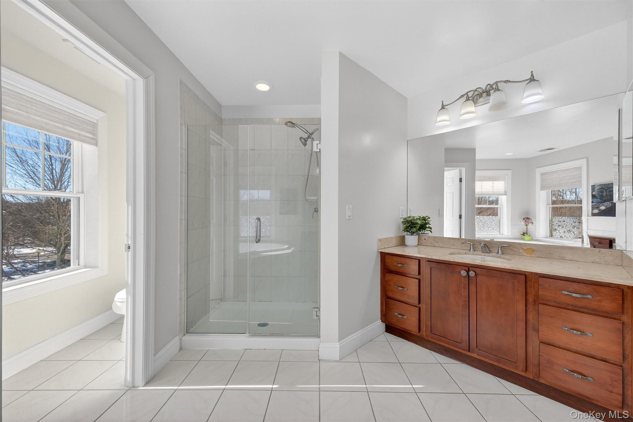 205 Buttonwood Way, Hopewell Junction, NY 12533