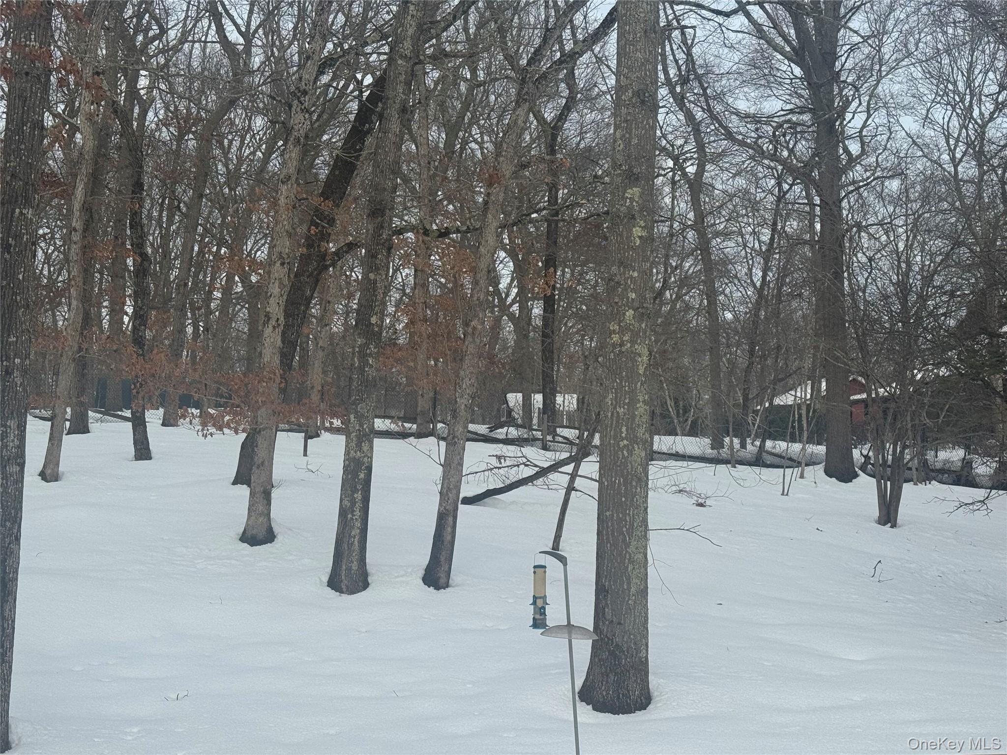 318-B Mill Road, Manorville, NY 11949