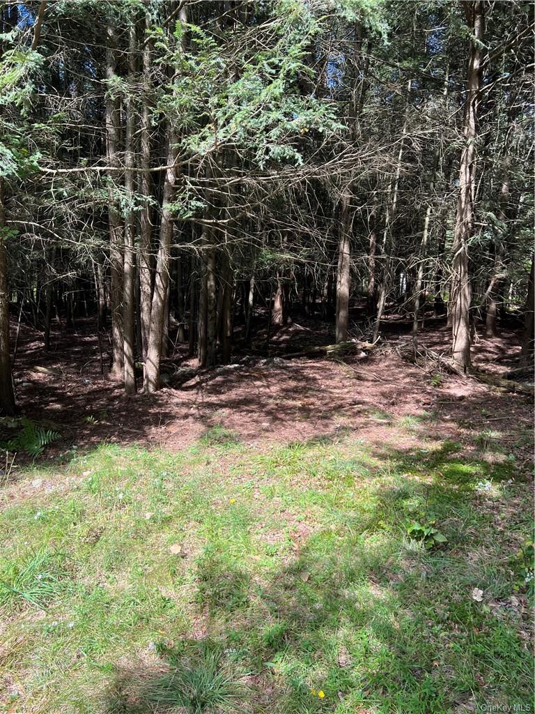 000 Cooper Drive Road, Kauneonga Lake, NY 12783