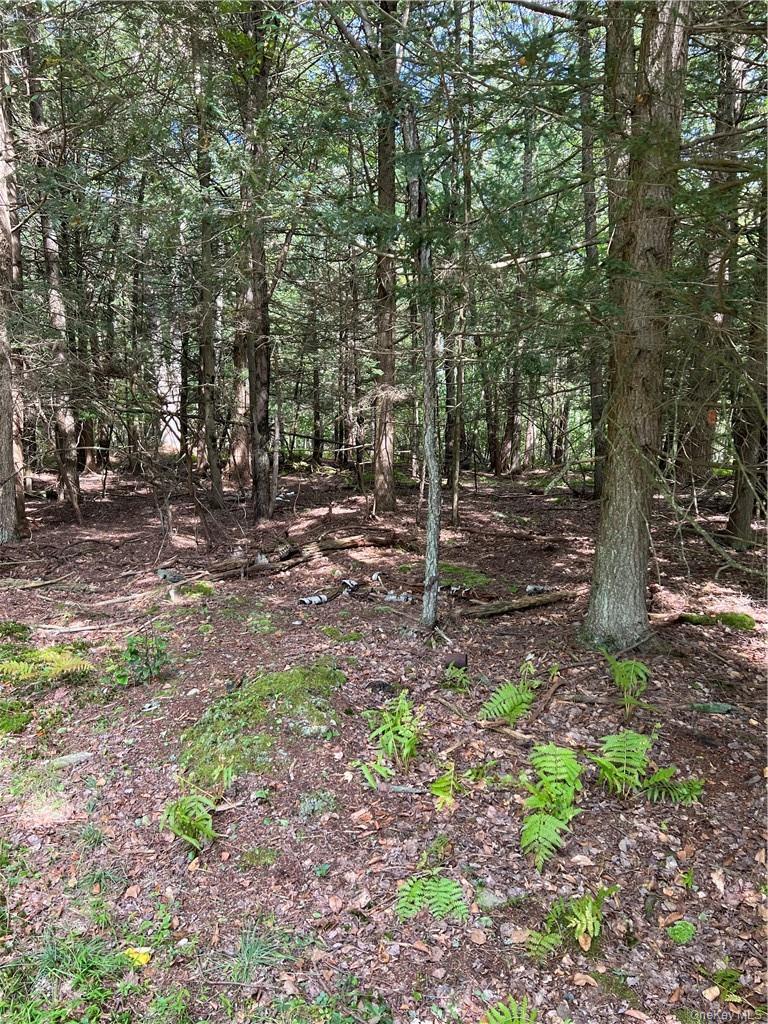 000 Cooper Drive Road, Kauneonga Lake, NY 12783