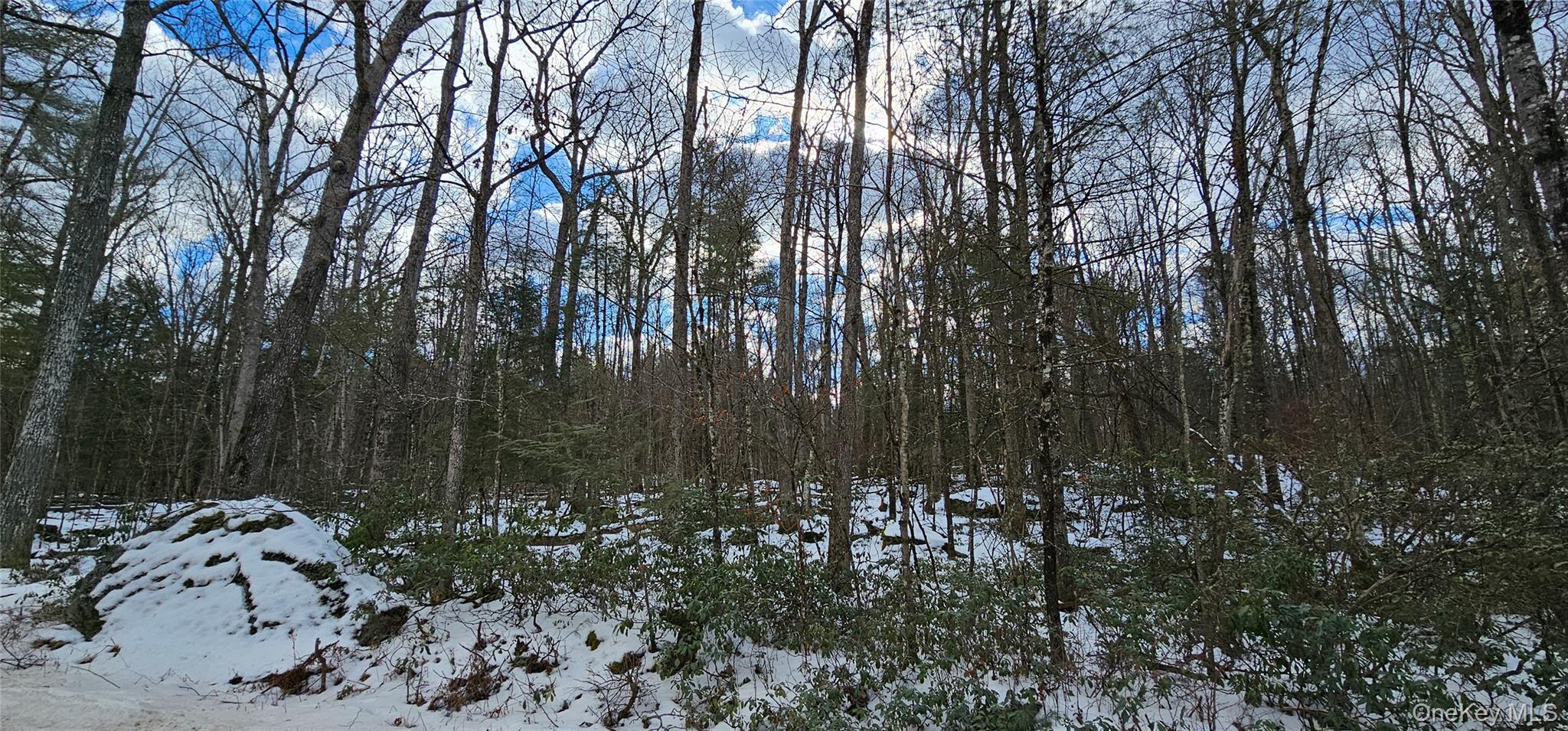 Lot 82 Perry Pond Road, Narrowsburg, NY 12764