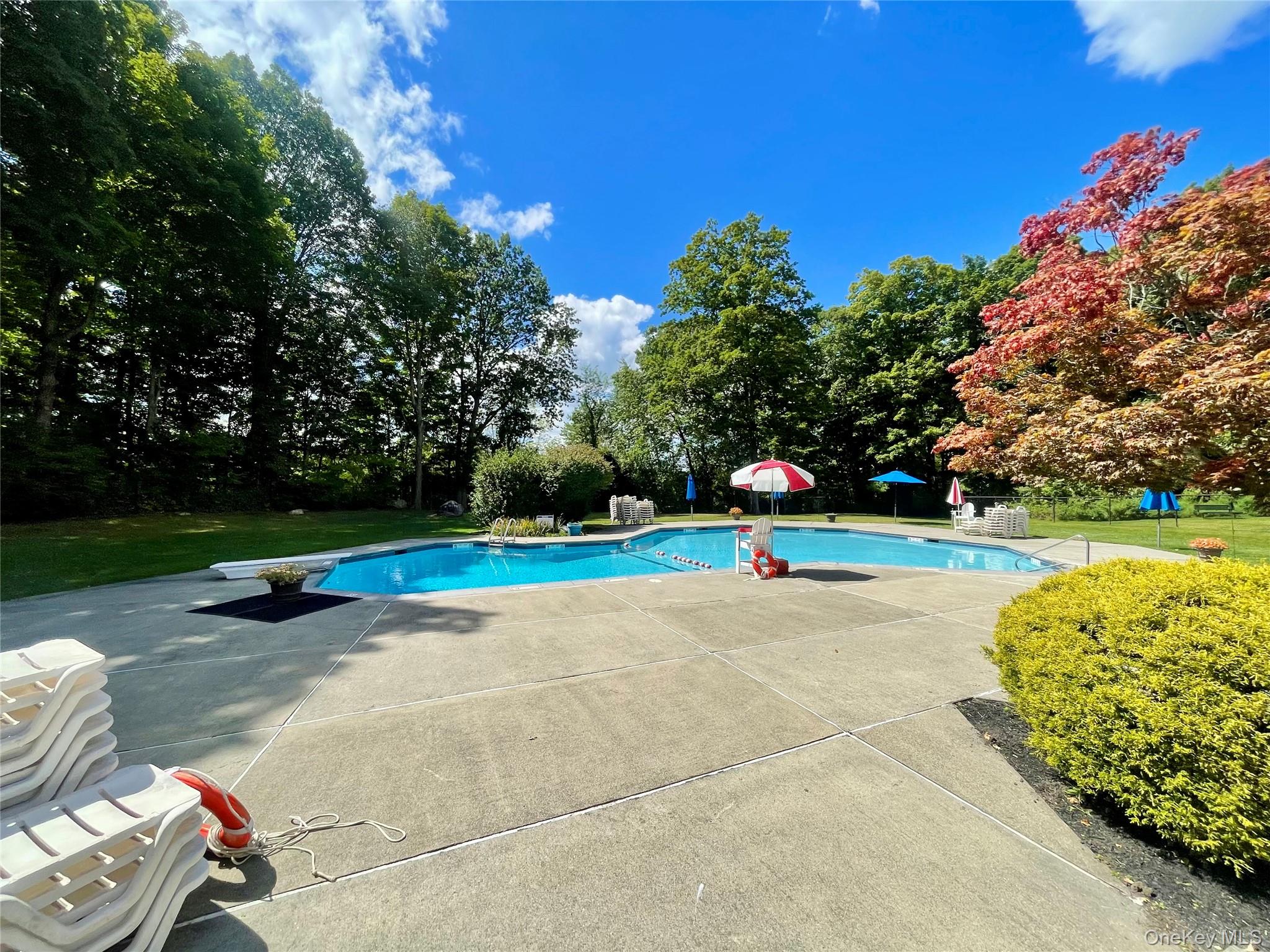 1203 Village Drive, Brewster, NY 10509