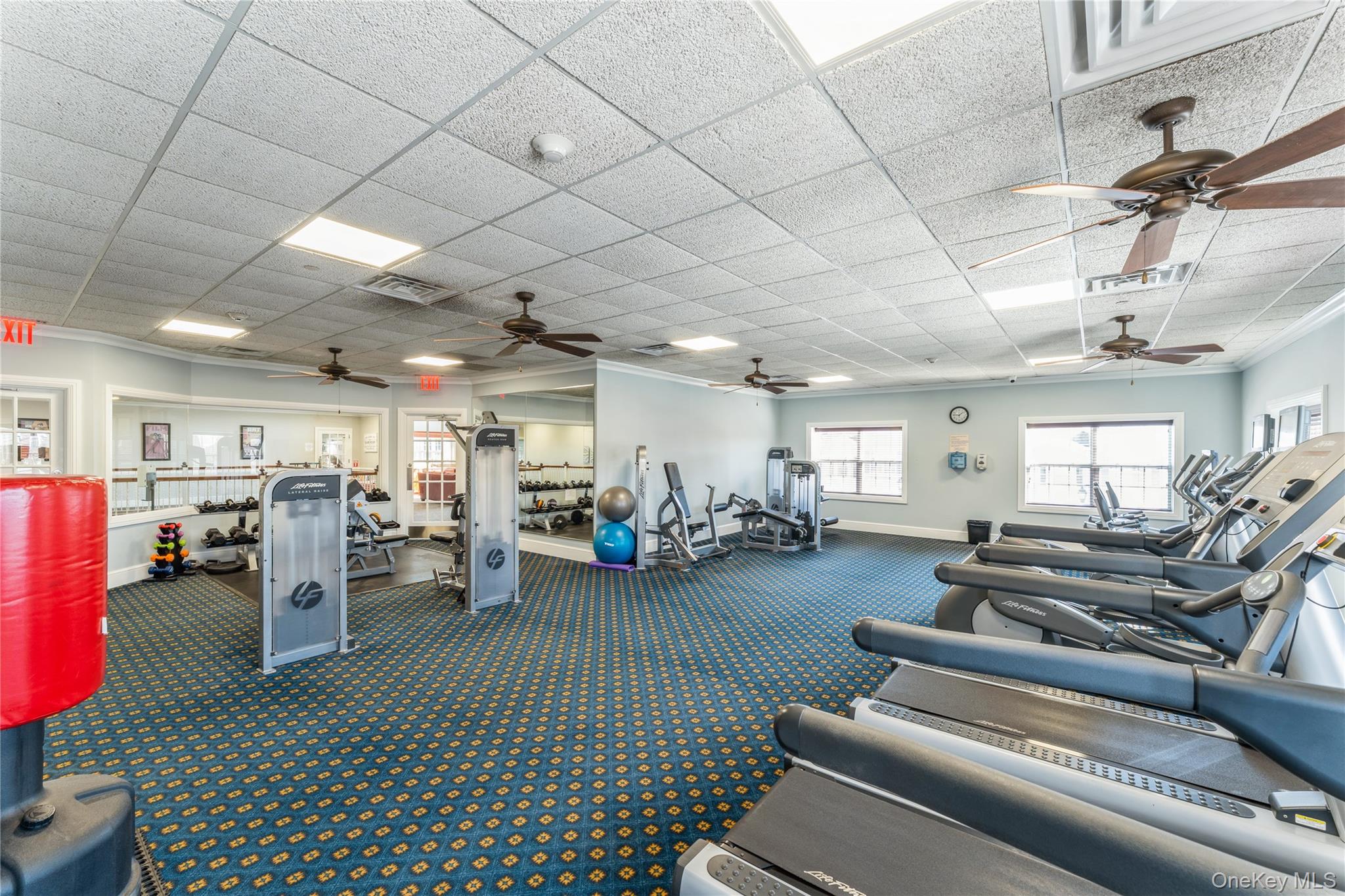 403 Autumn Drive, East Meadow, NY 11554