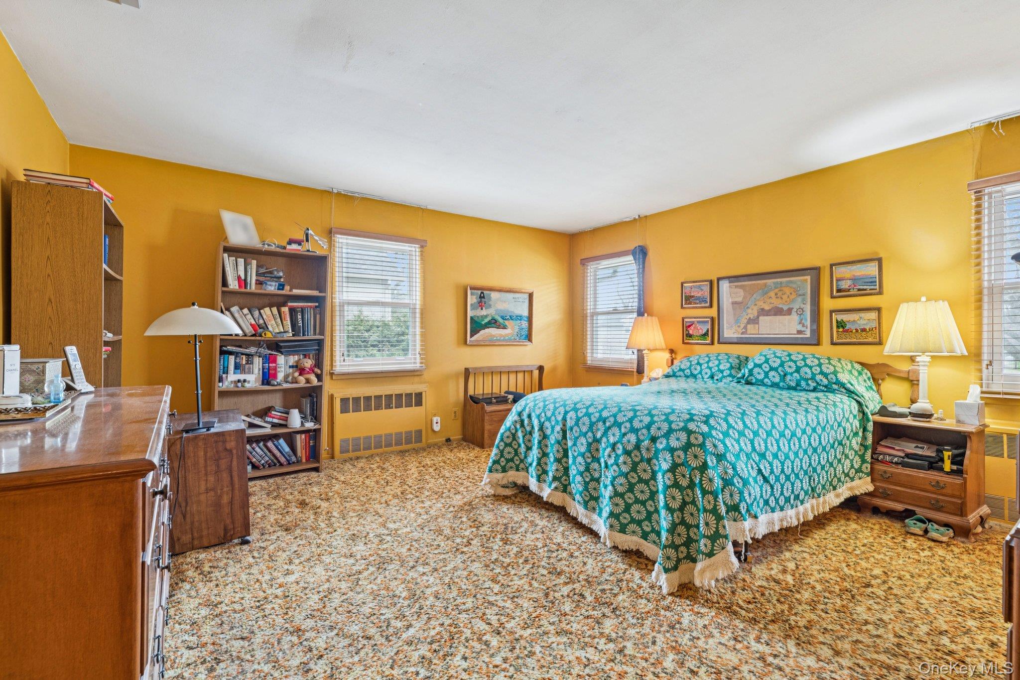 192 Bengeyfield Drive, East Williston, NY 11596