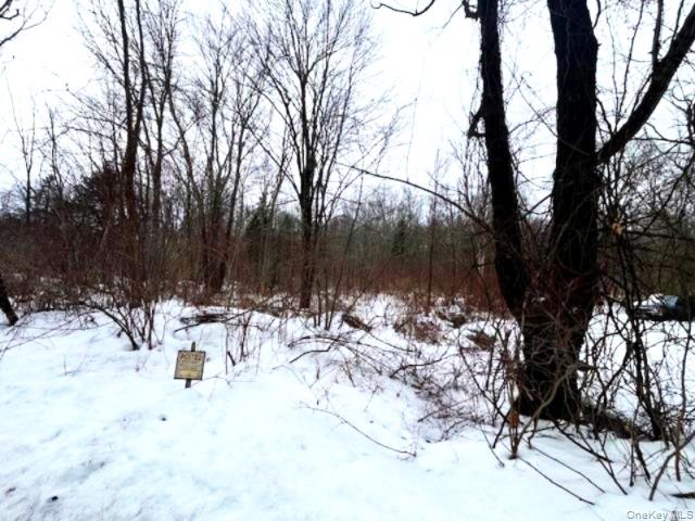 40 Lo Presti Road, Middletown, NY 10940