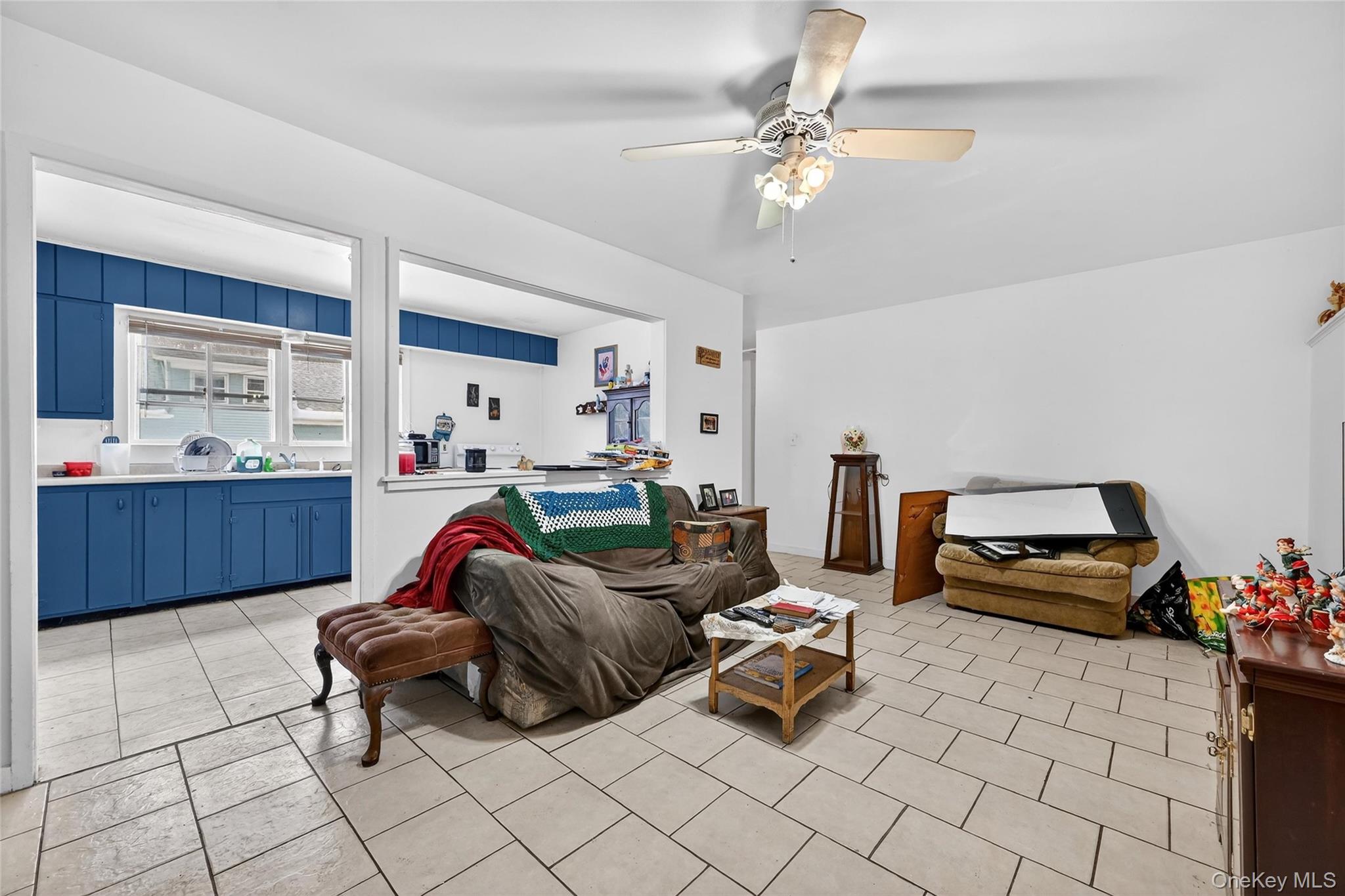 21 1/2 Nevins Street, Ellenville, NY 12428