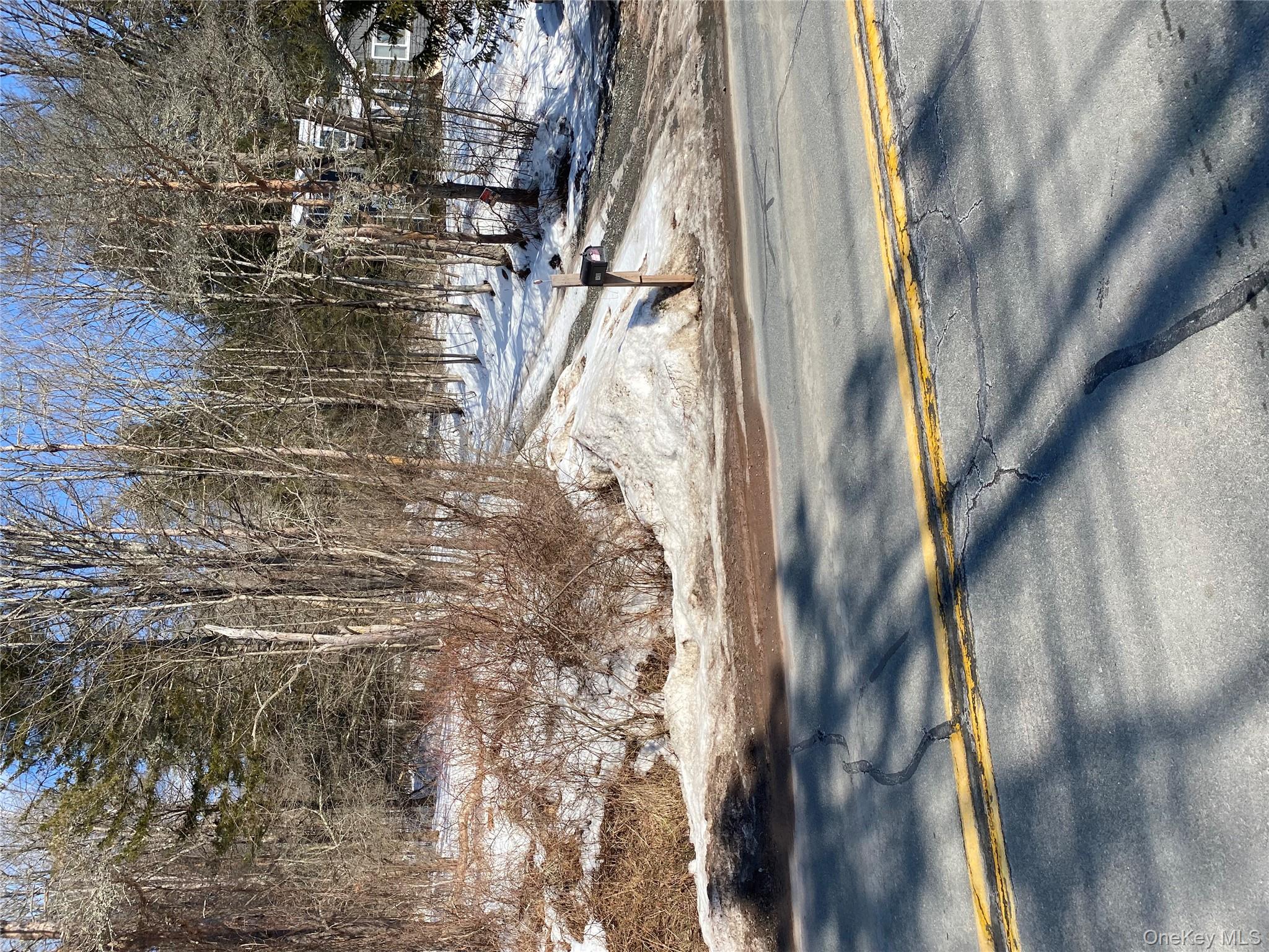 1423 Old Route 17, Roscoe, NY 12776