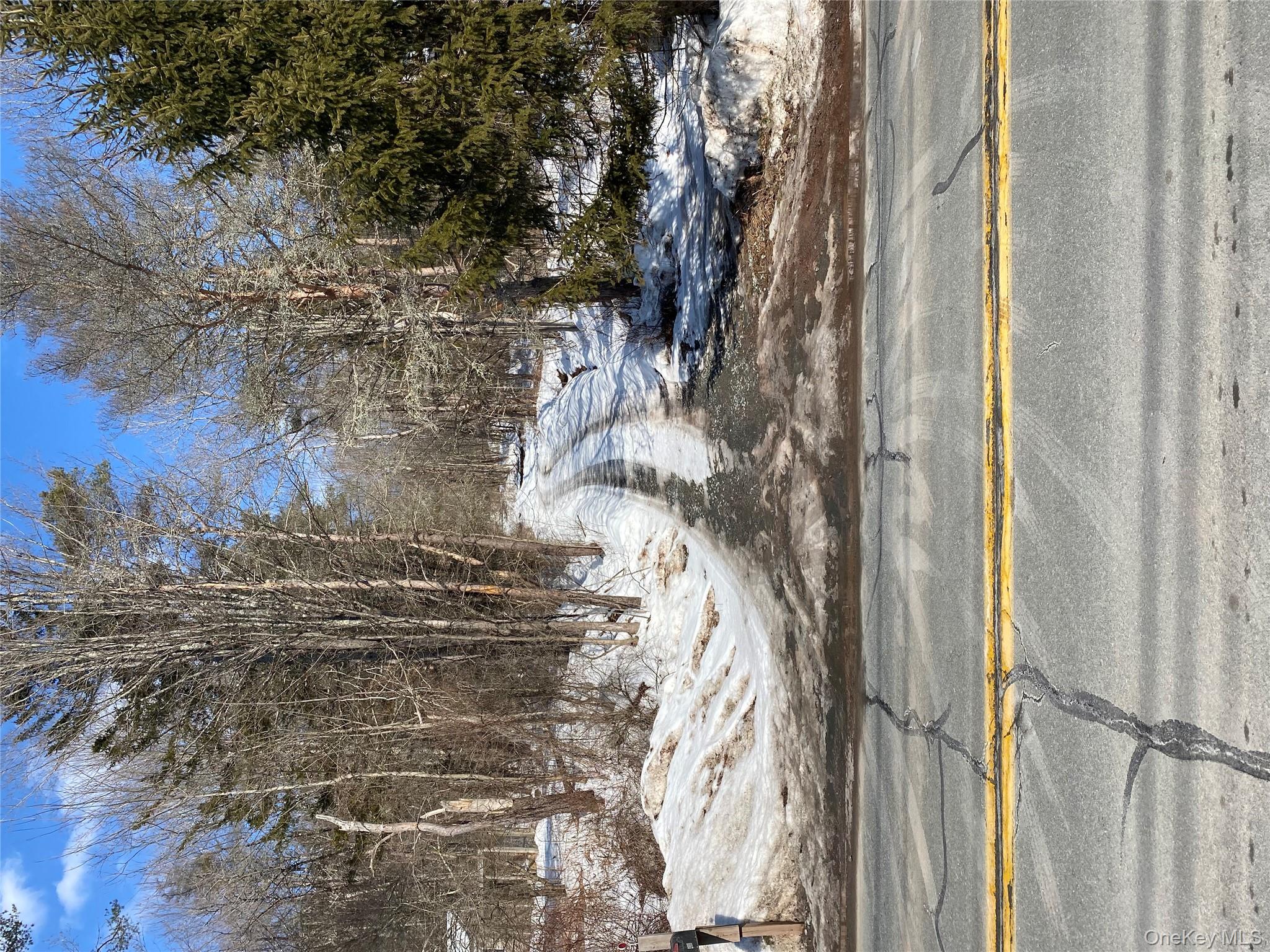 1423 Old Route 17, Roscoe, NY 12776