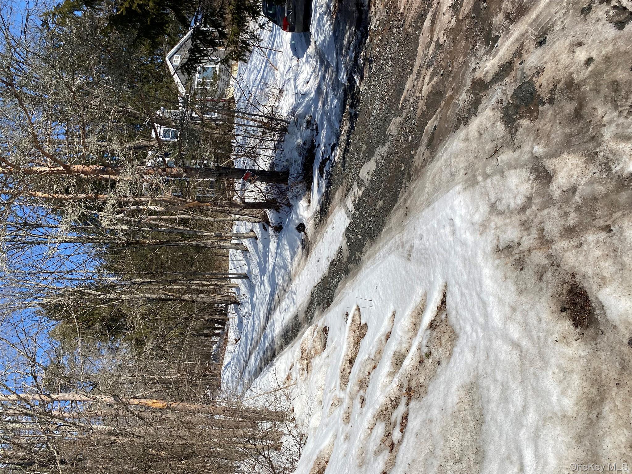 1423 Old Route 17, Roscoe, NY 12776